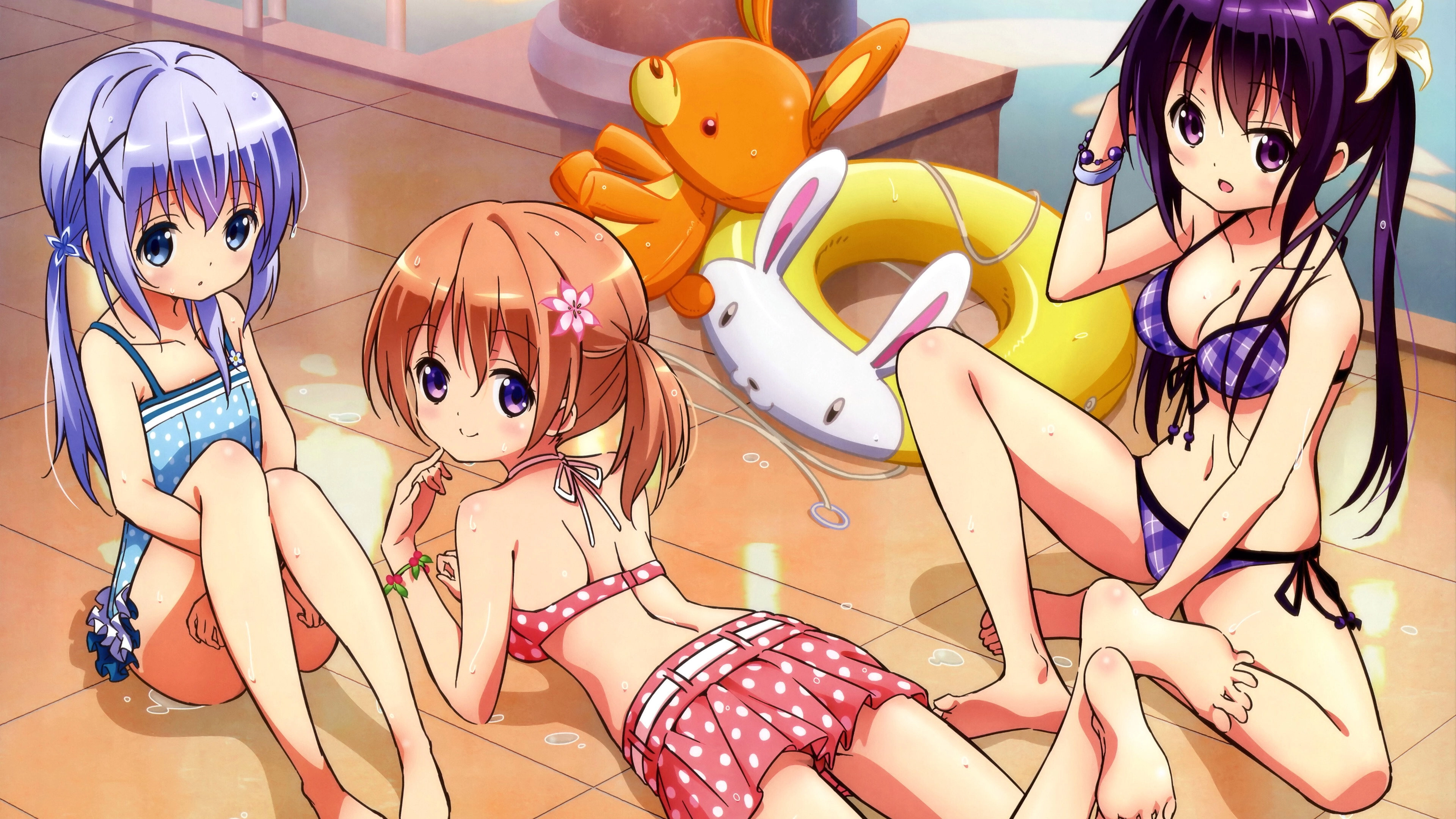 Is the Order a Rabbit?