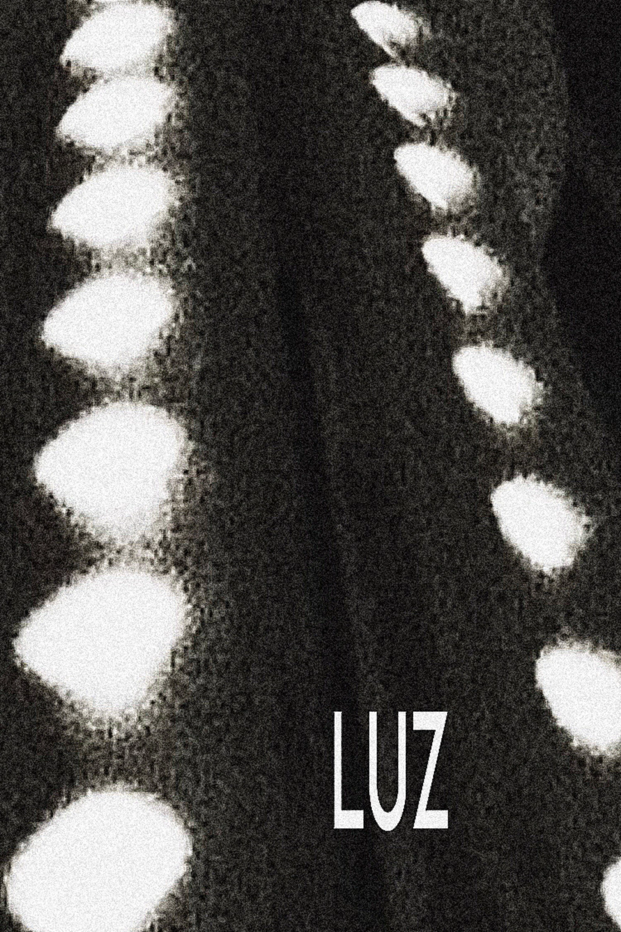 Luz