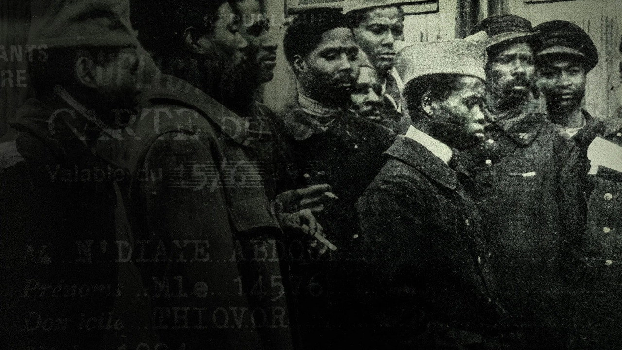 Ils étaient tirailleurs, voix oubliées de la Grande Guerre