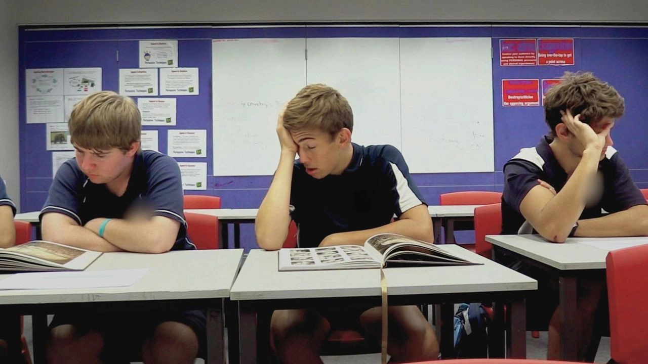 My Year 12 Life