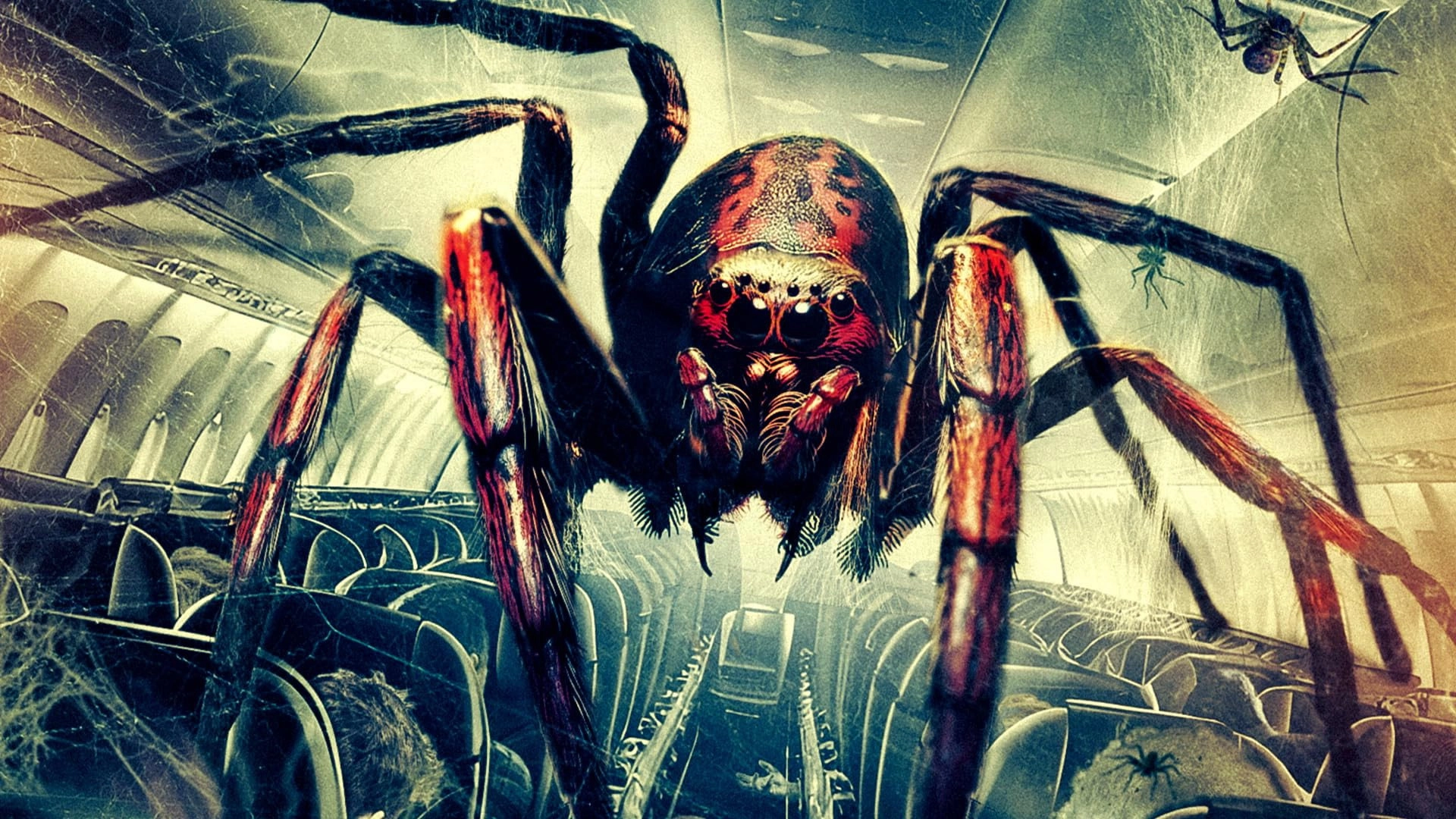 Spiders on a Plane