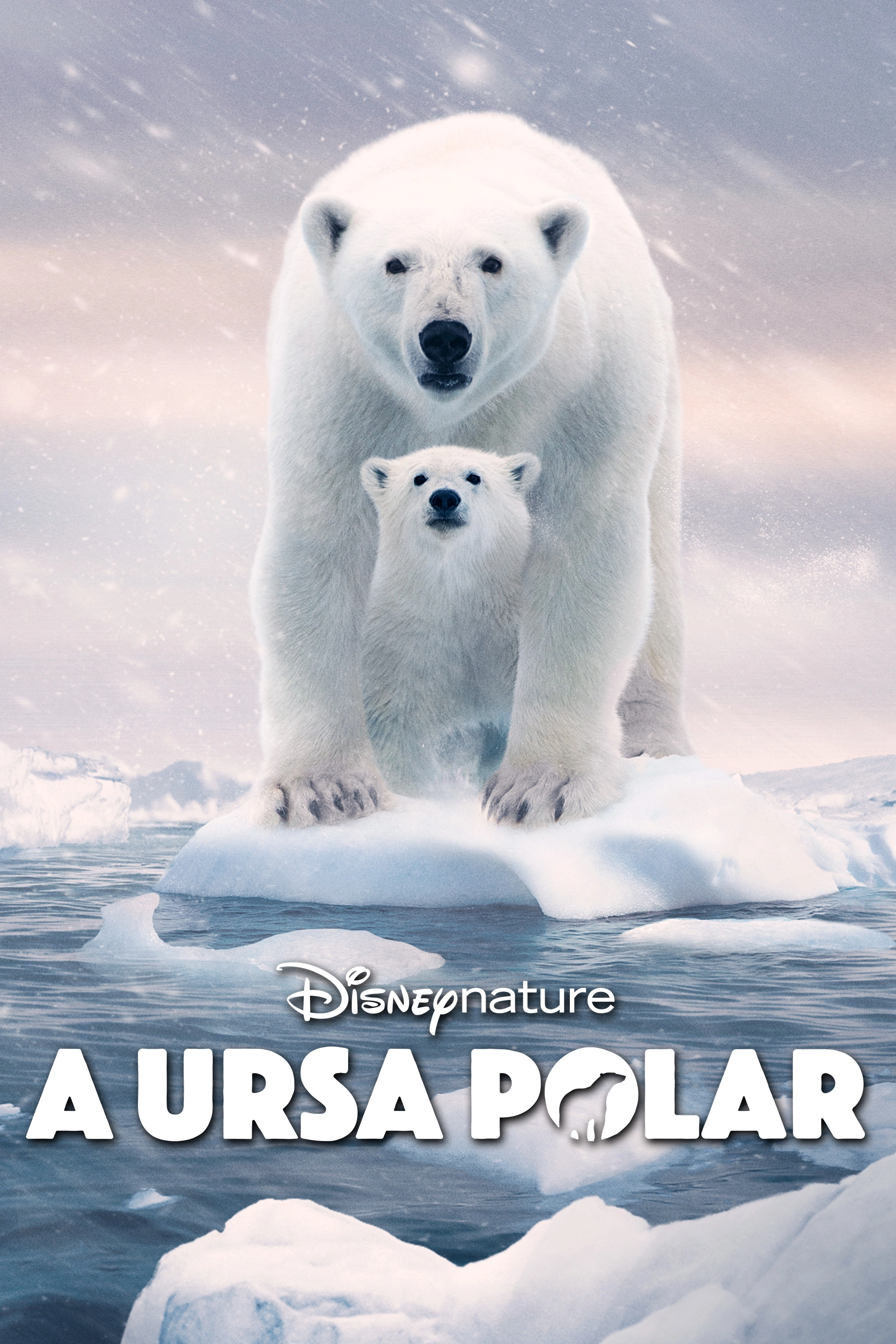 Polar Bear