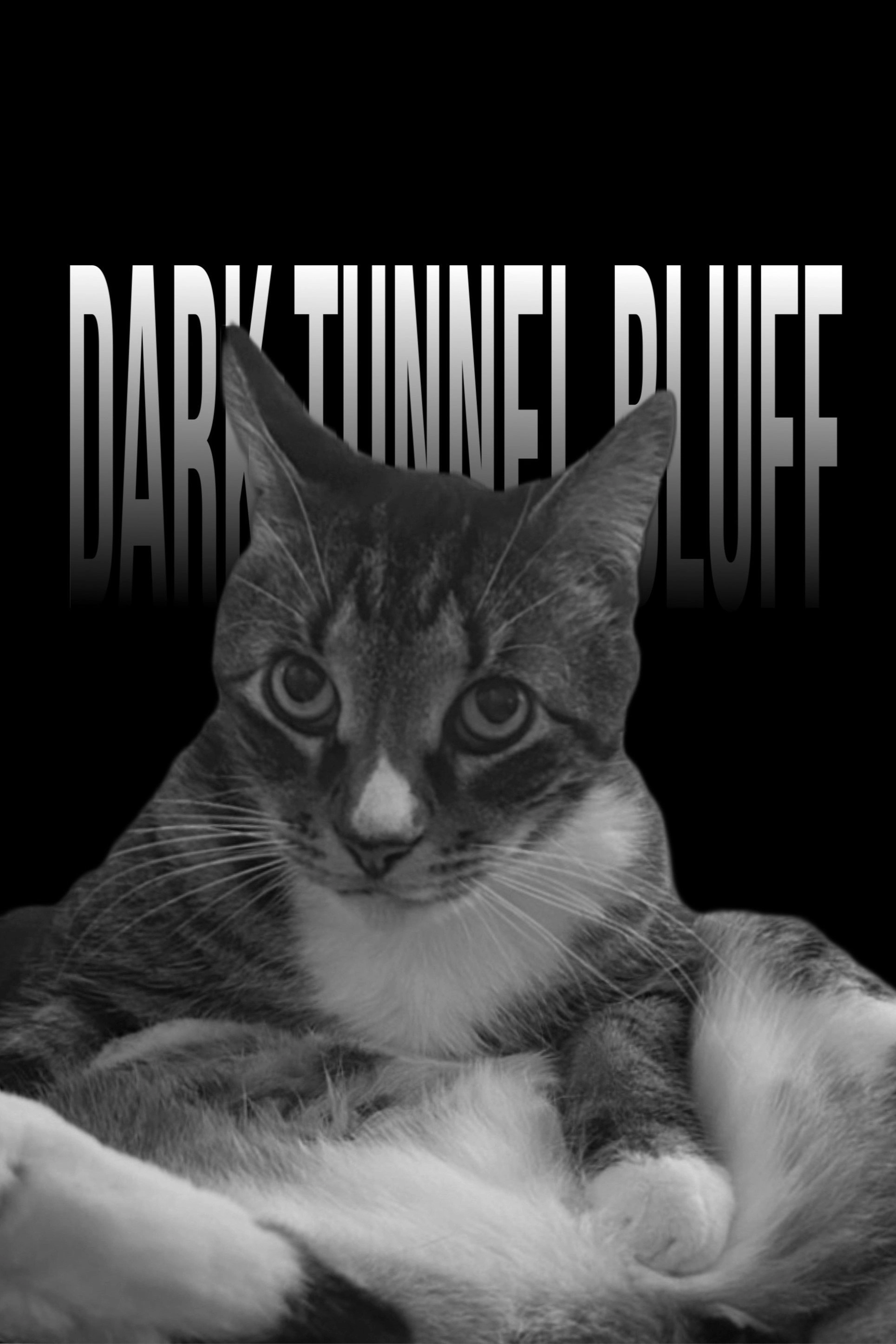 Dark Tunnel Bluff