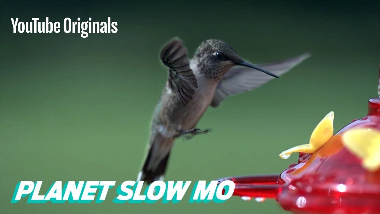 Planet Slow Mo