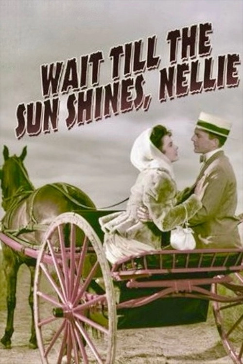 Wait Till the Sun Shines, Nellie