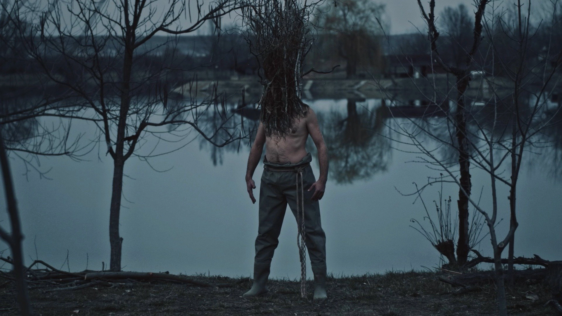 The Pond