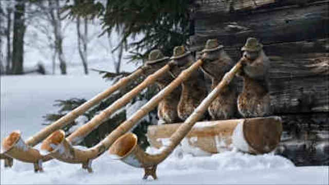 Les Marmottes