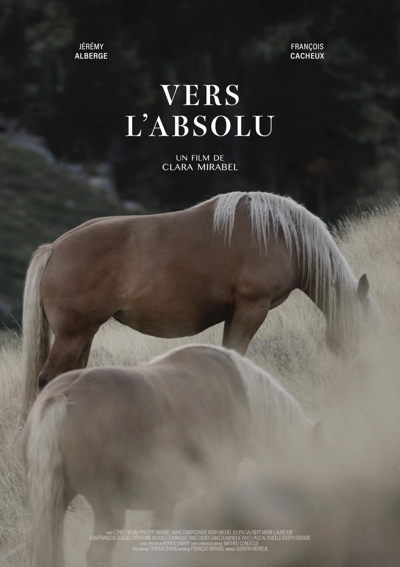 Vers l'absolu