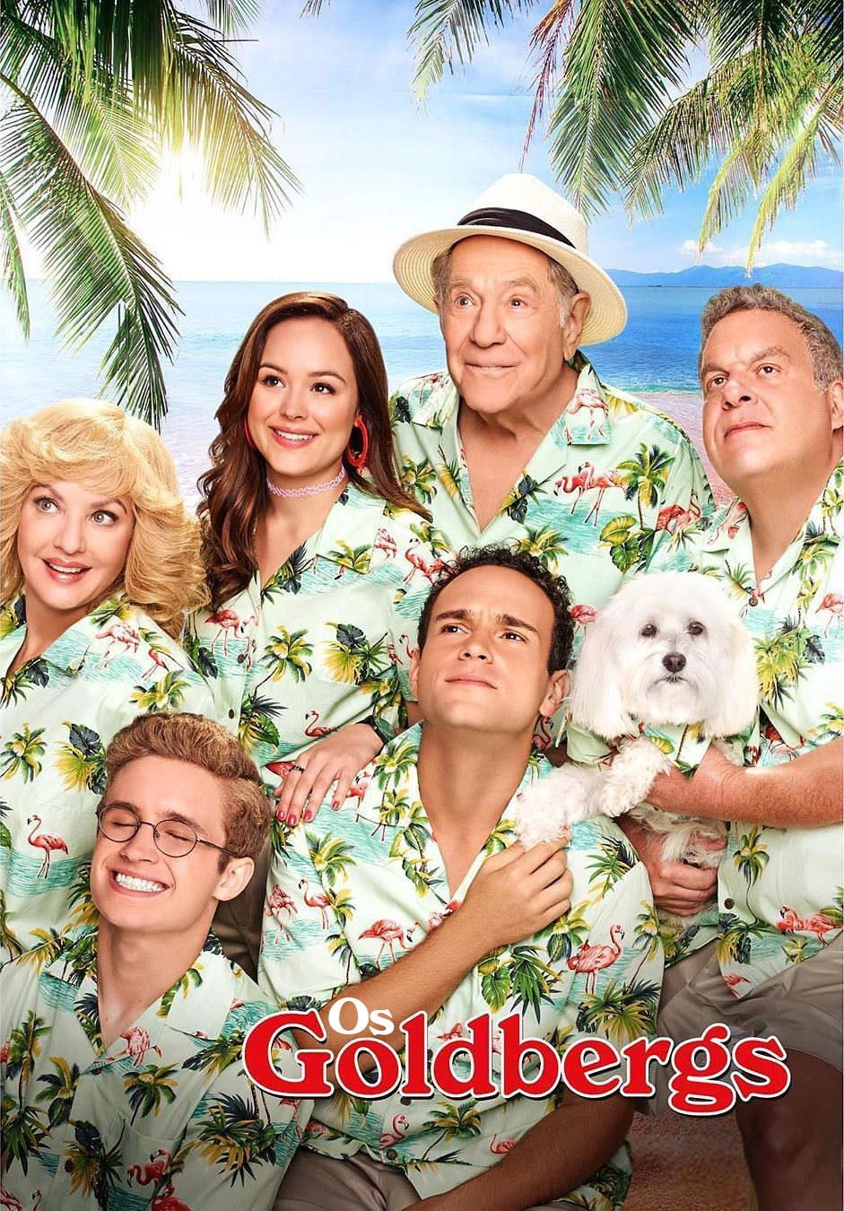 The Goldbergs