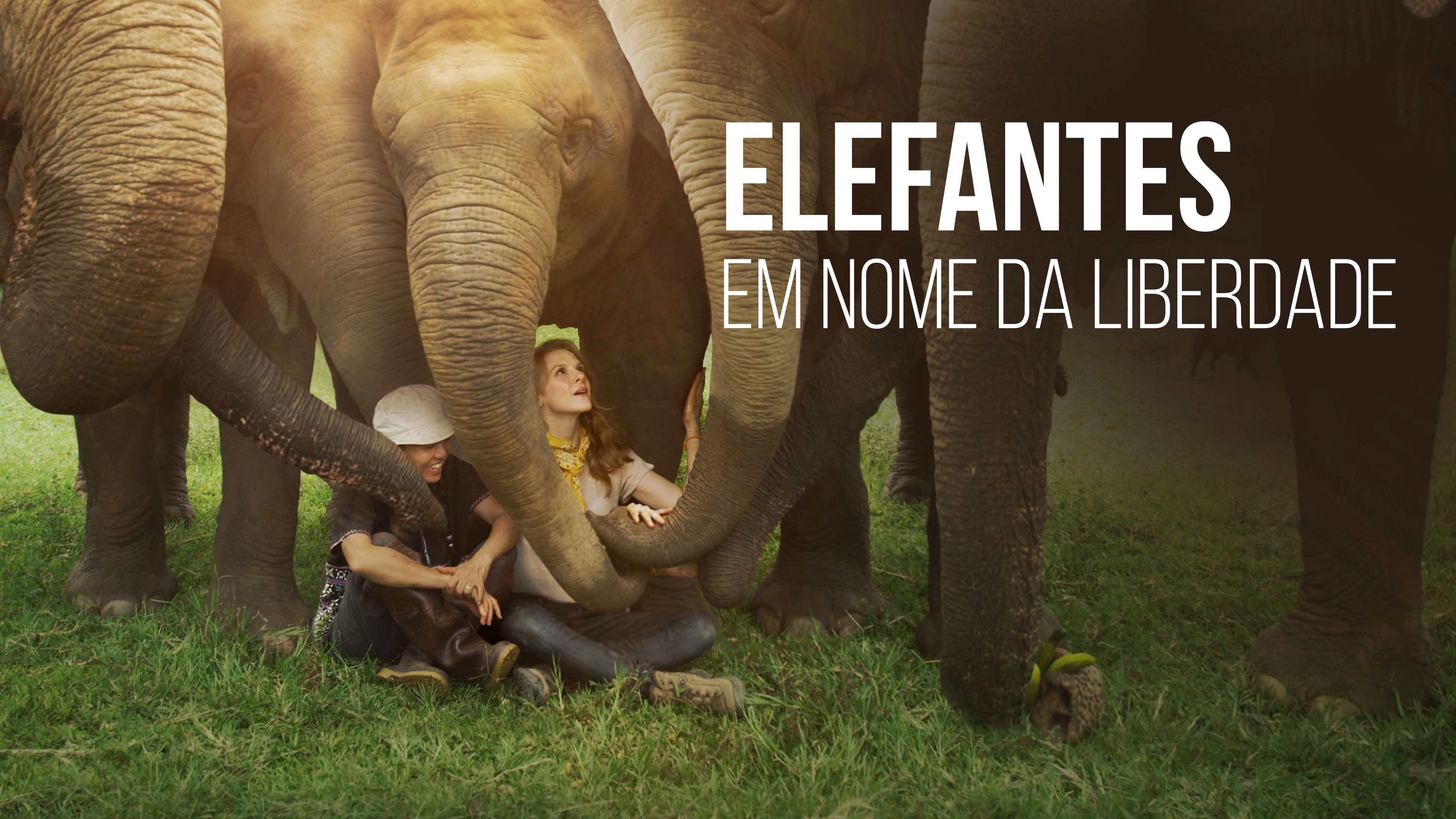 Love & Bananas: An Elephant Story