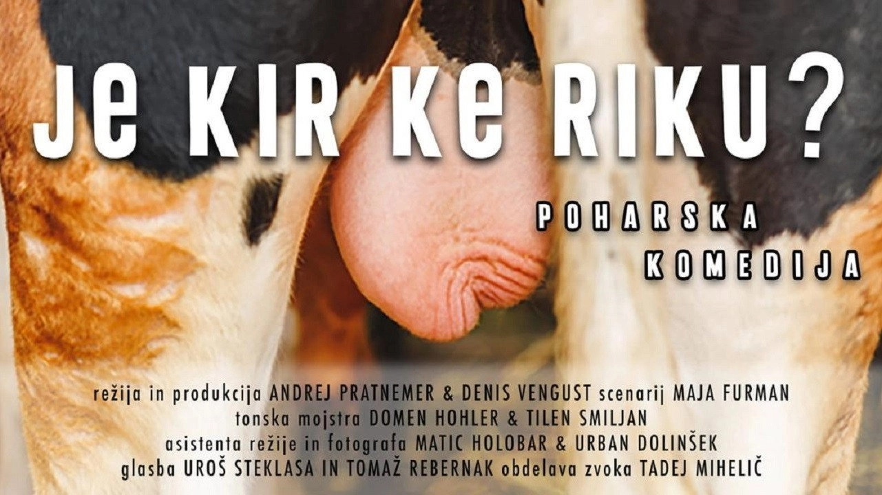 Je kir ke riku? Poharska komedija