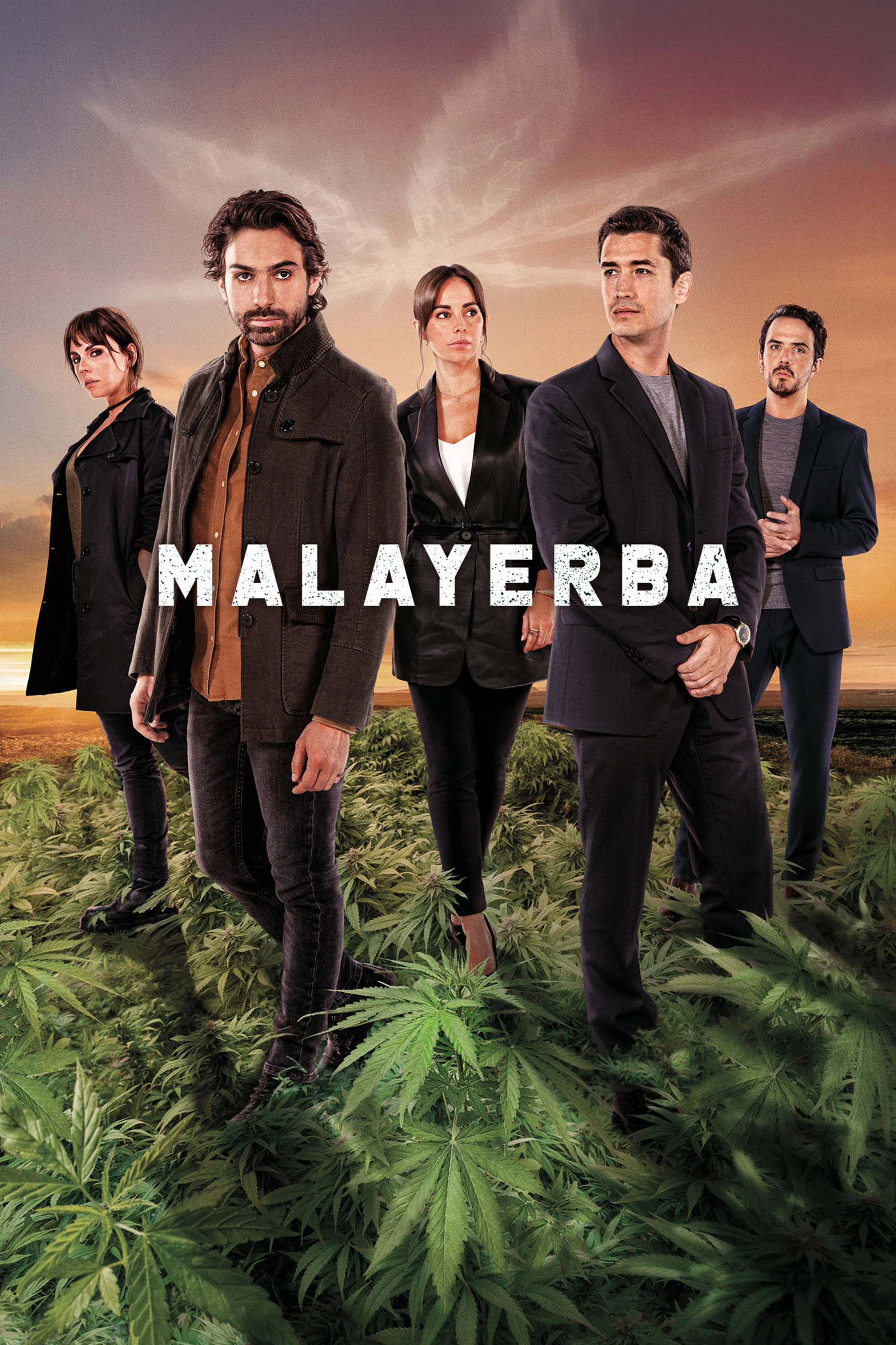 MalaYerba