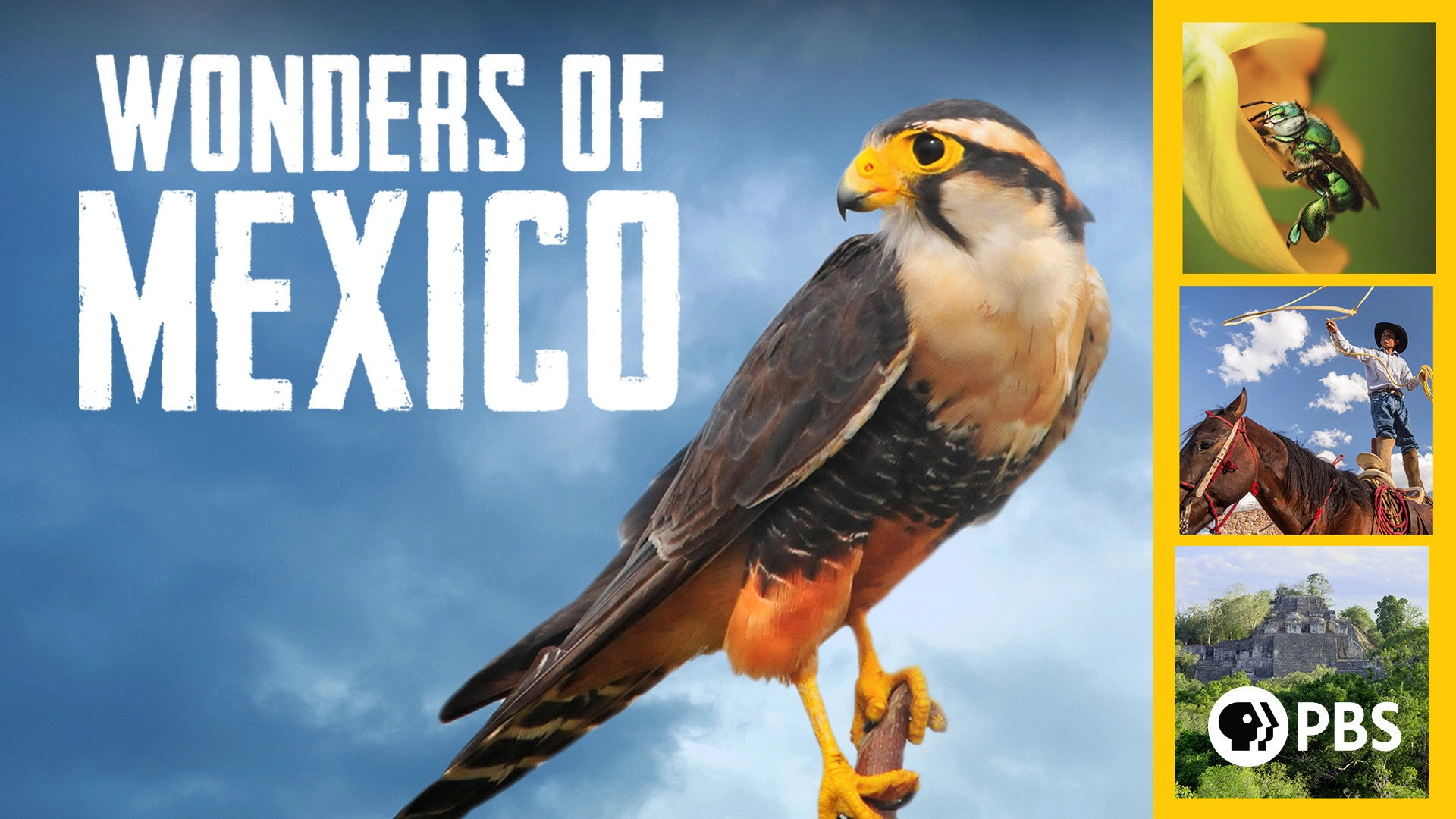 Wonders of Mexico
