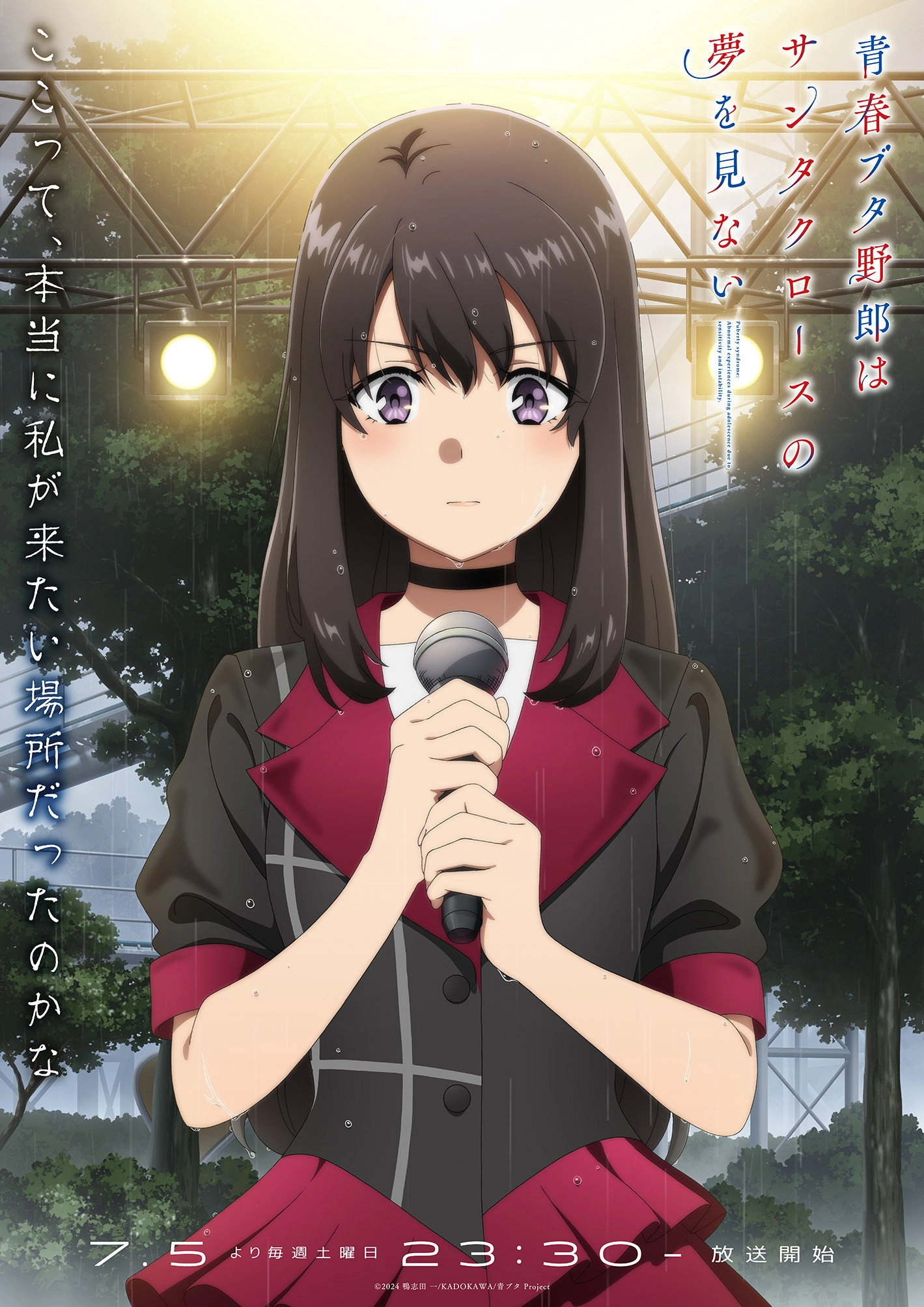 Rascal Does Not Dream of Bunny Girl Senpai
