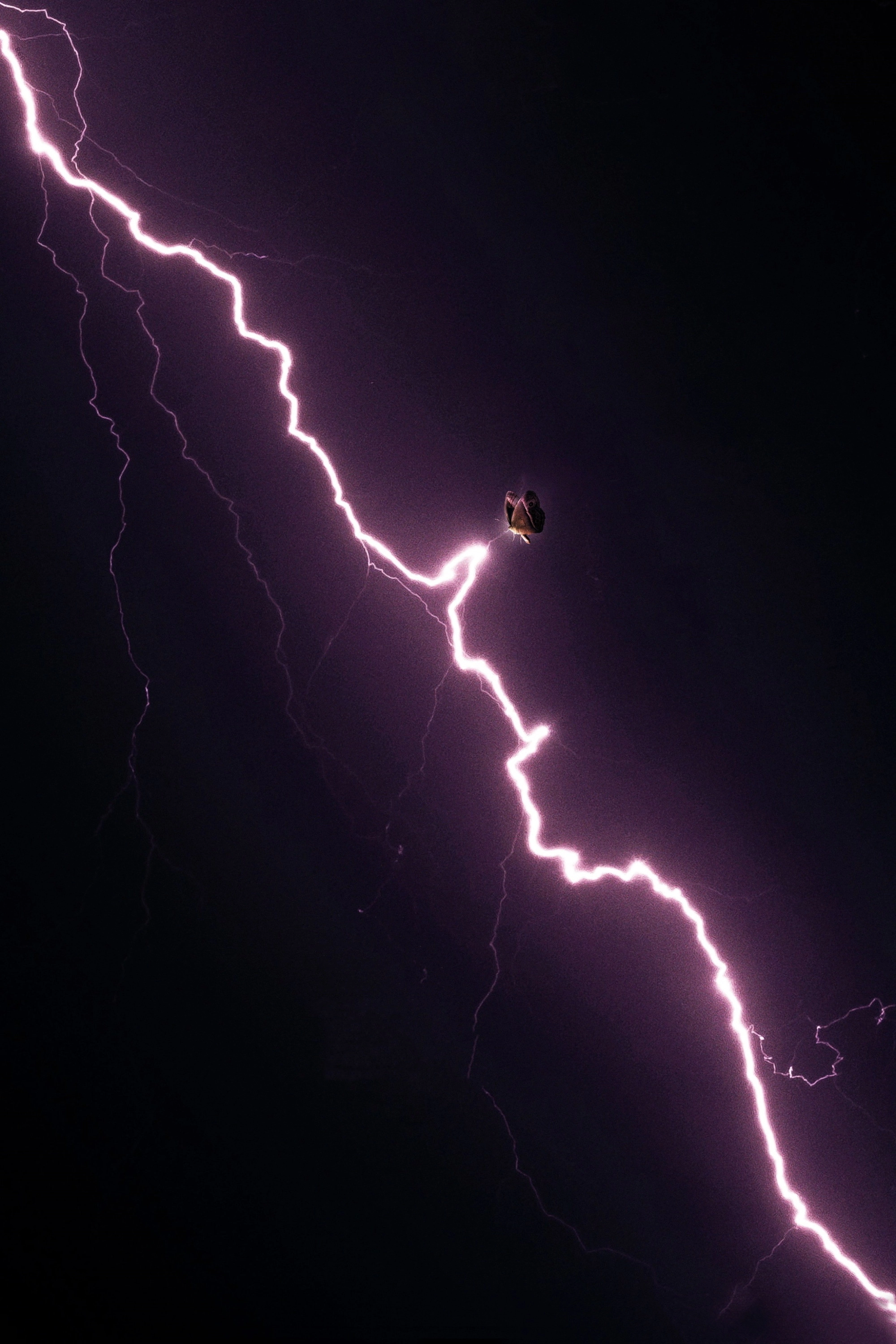 The Year of the Everlasting Storm