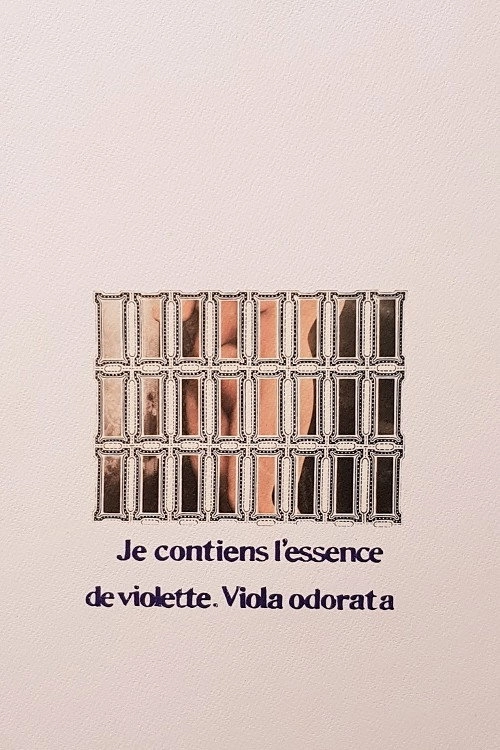Topa Tudo por Bandeco
