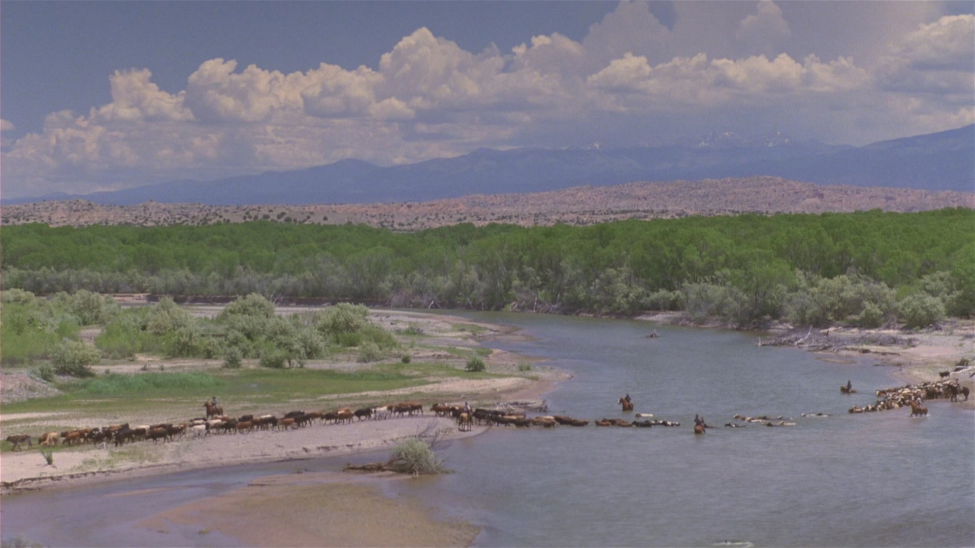 Lonesome Dove