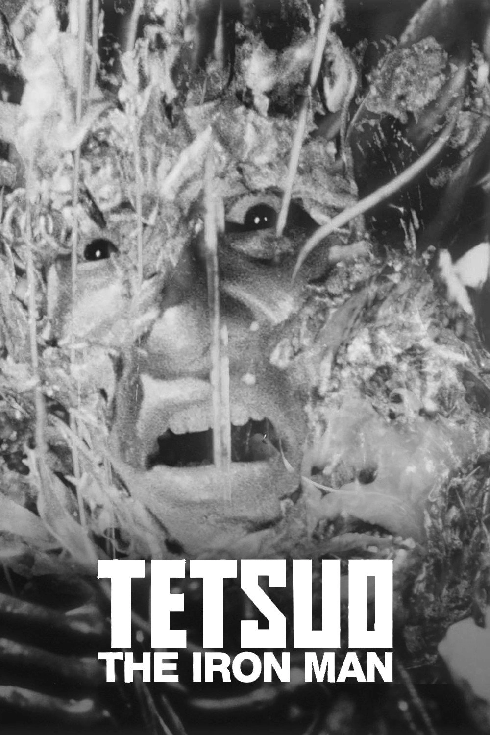 Tetsuo: The Iron Man