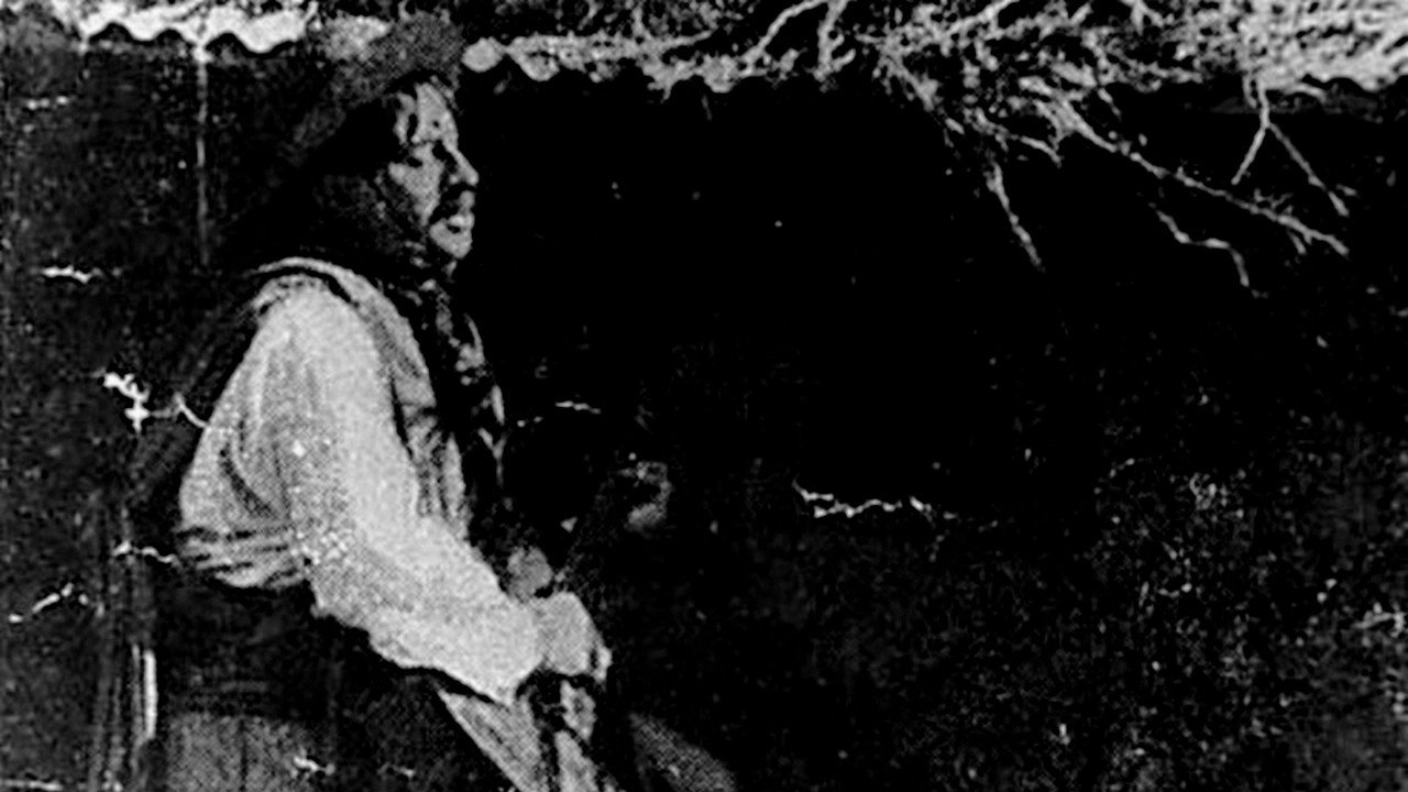Gaucho Nobility