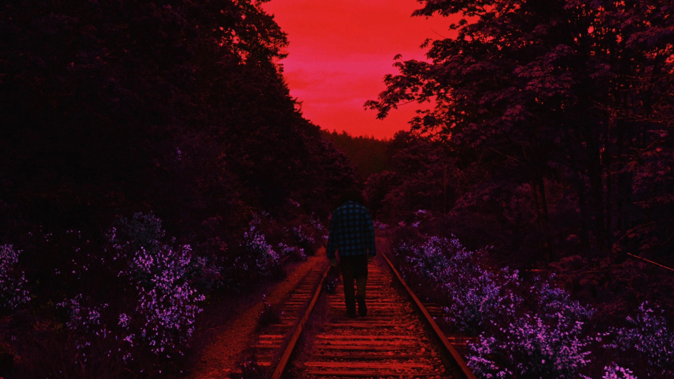 Sleepwalker