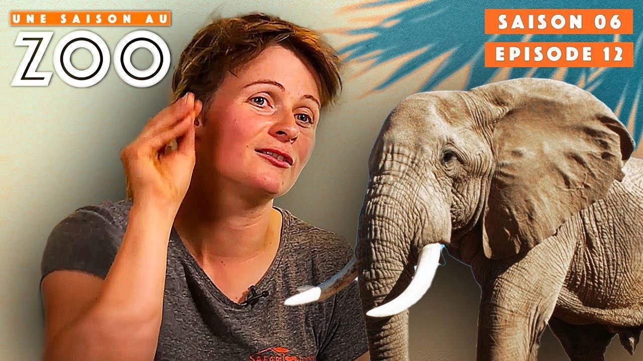 Une saison au zoo
