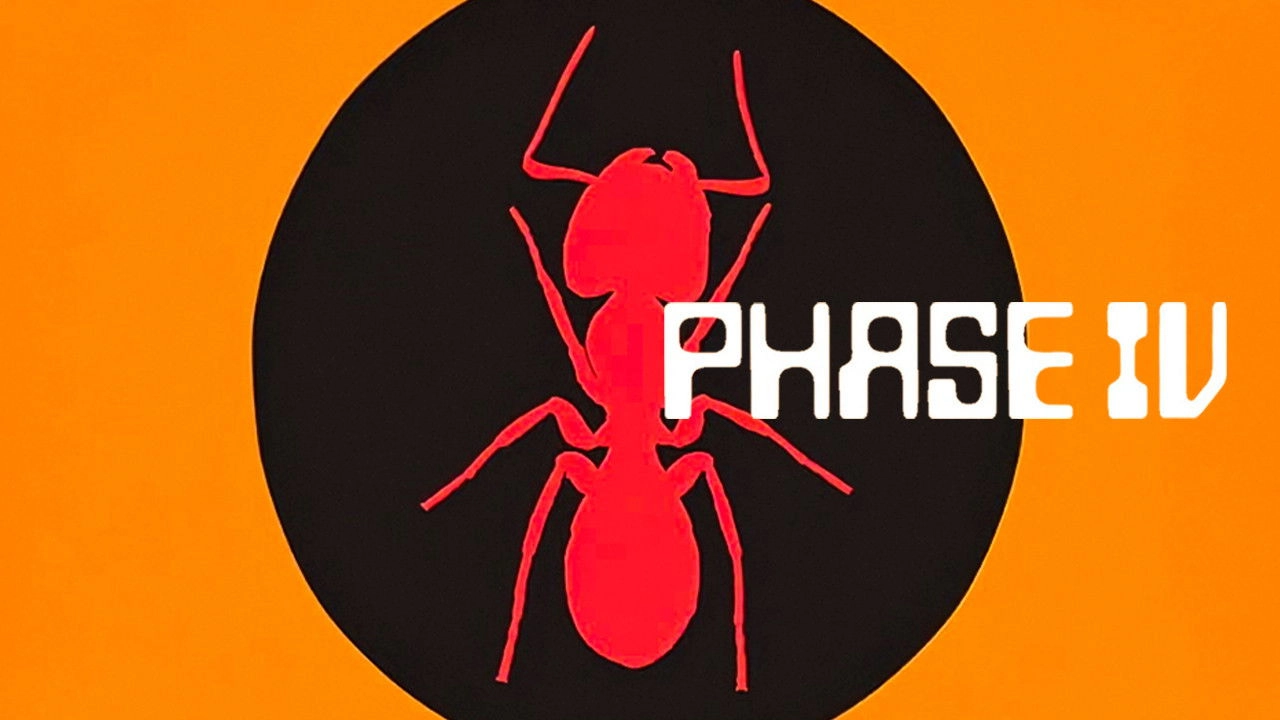 Phase IV