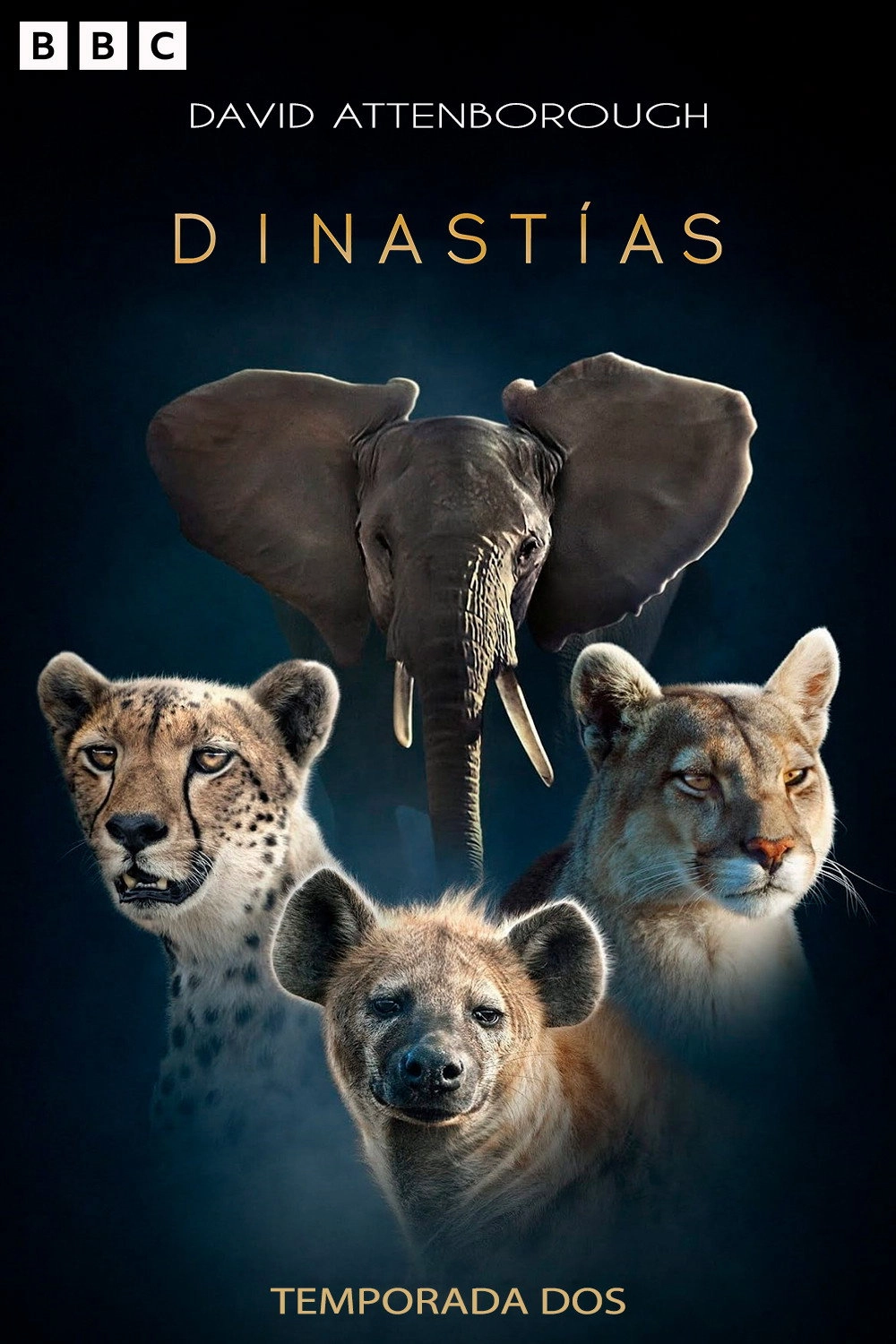 Dynasties