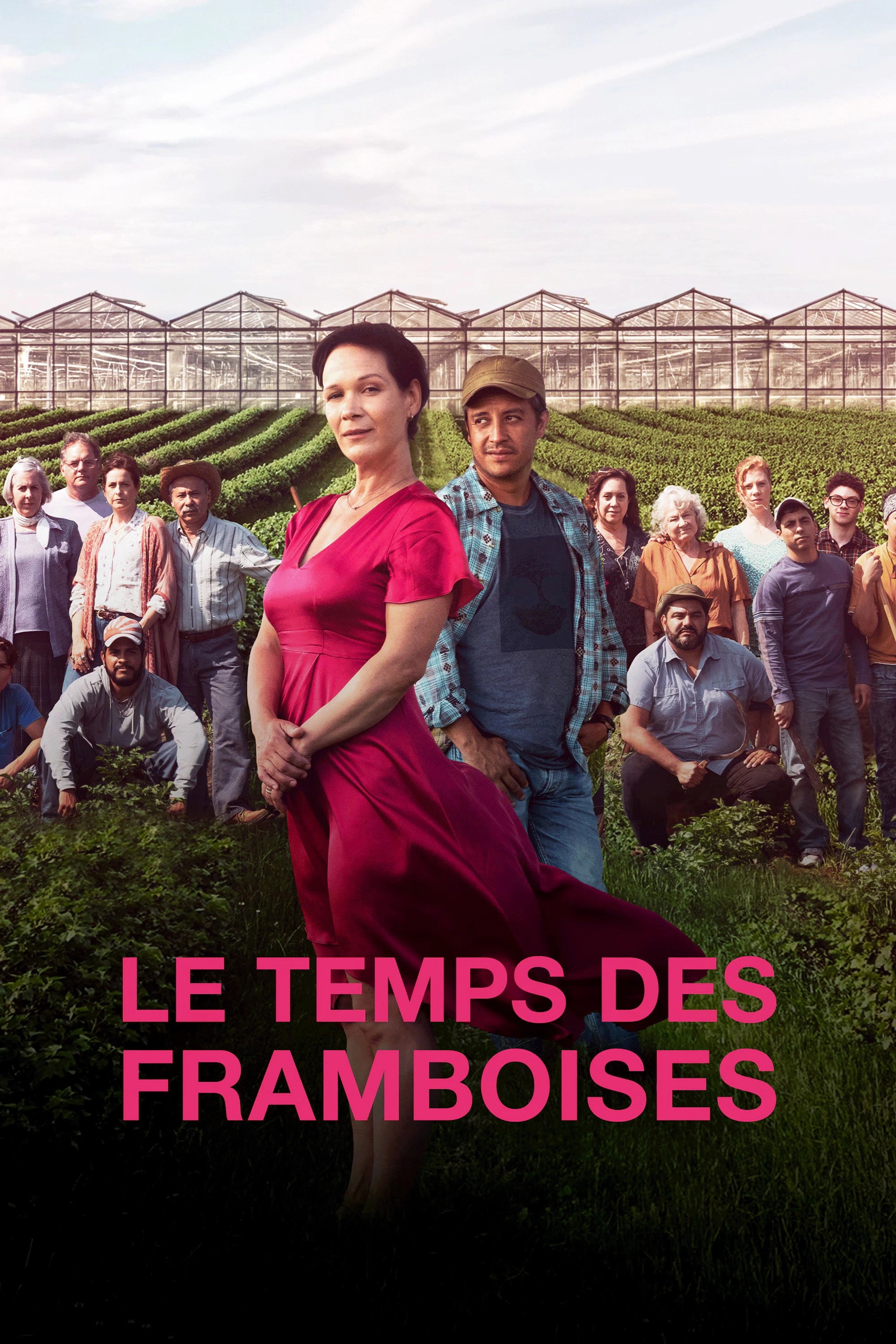 Le temps des framboises