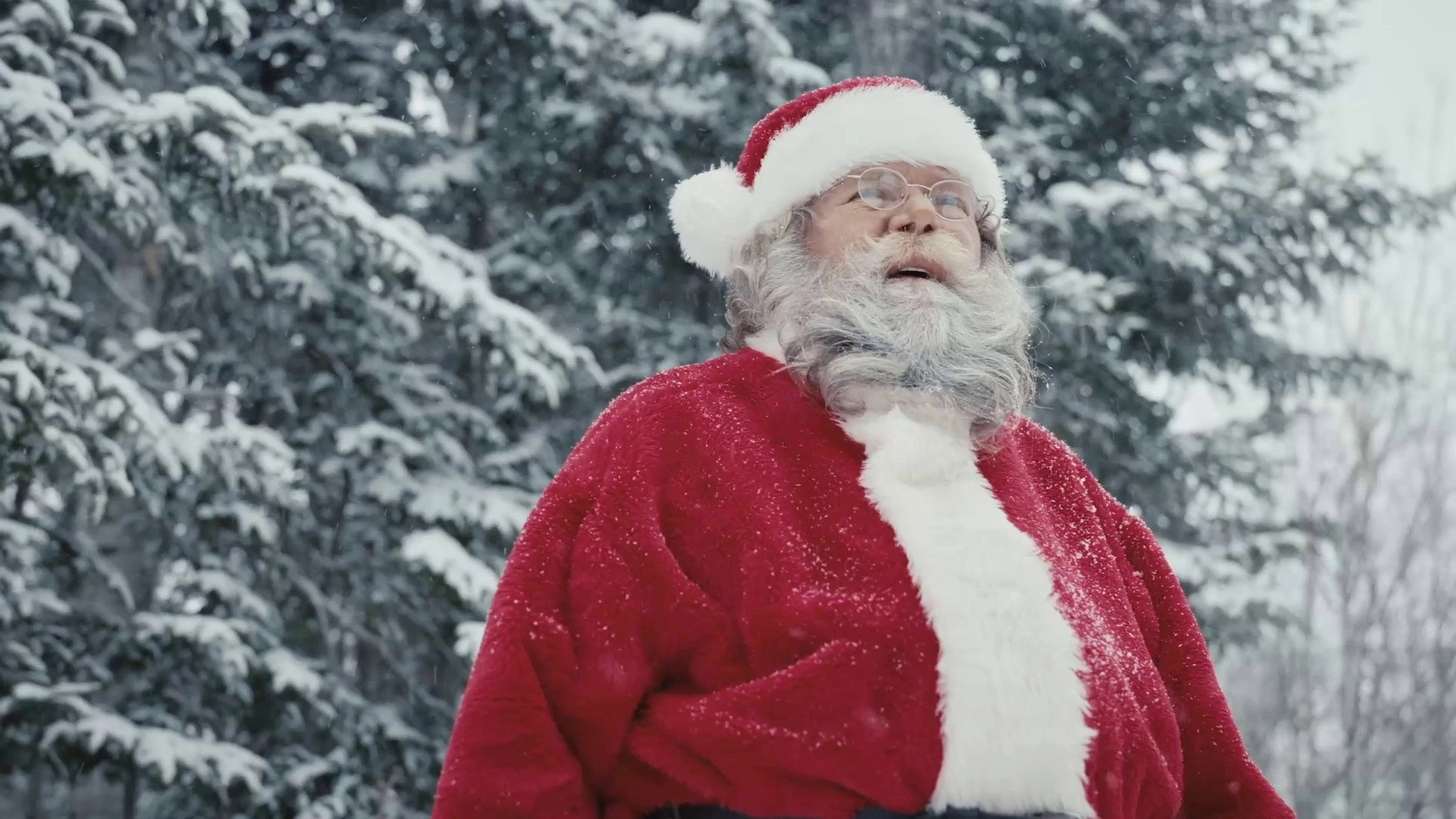 Fernand's Christmas