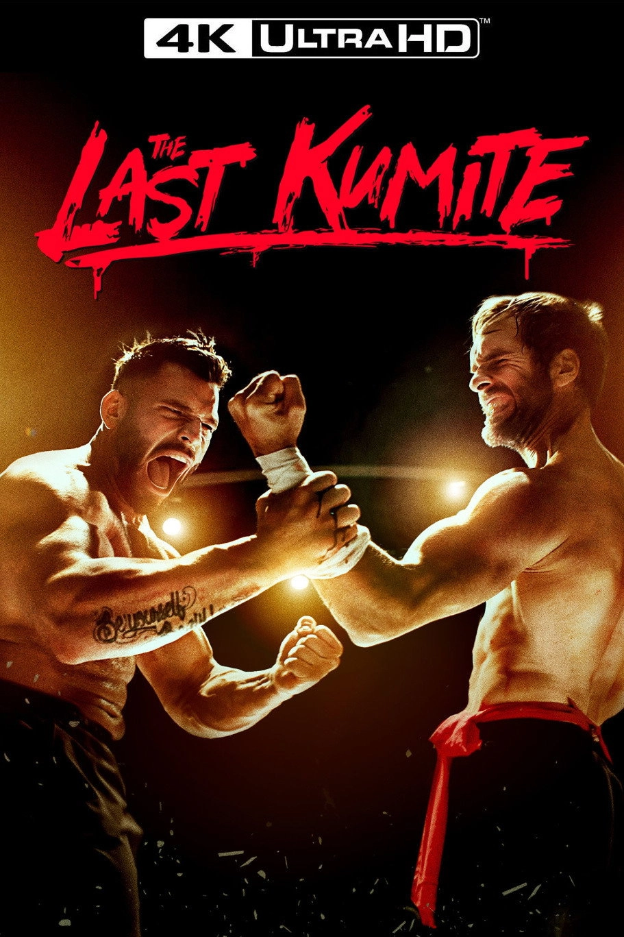 The Last Kumite