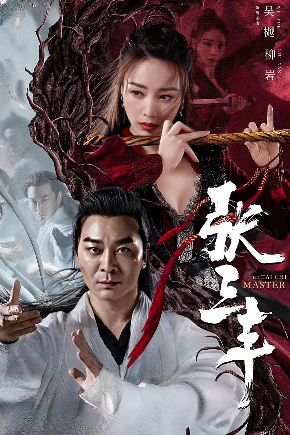 The Tai Chi Master