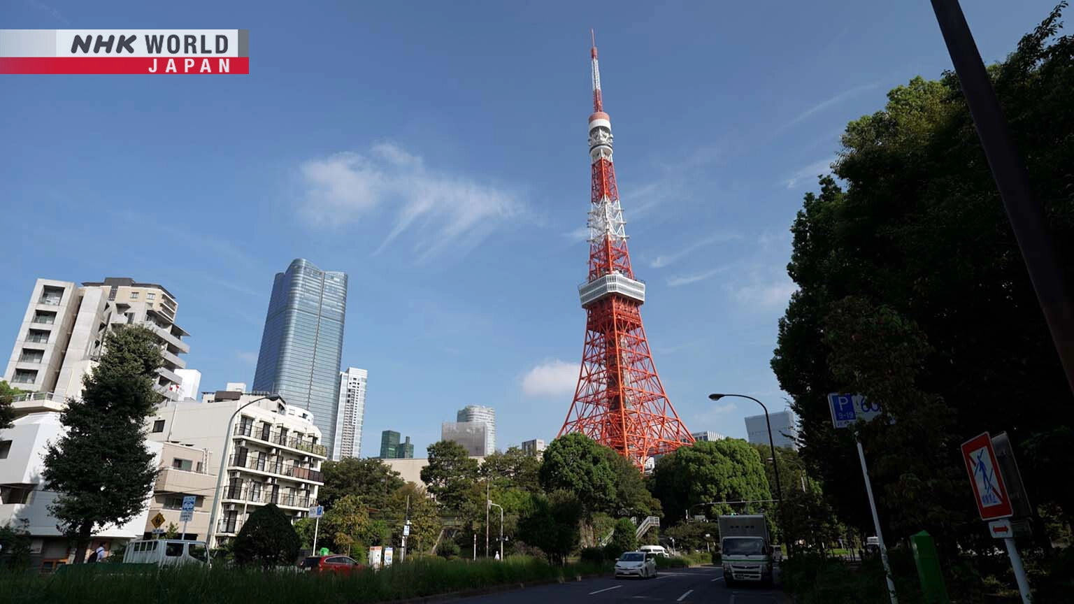 Dive in Tokyo