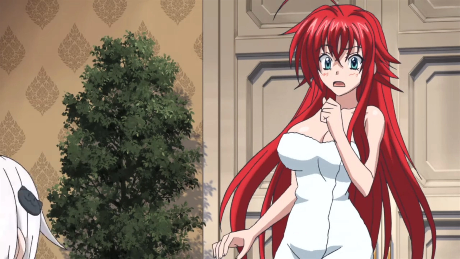 High School DxD