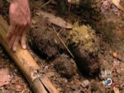 Dual Survival