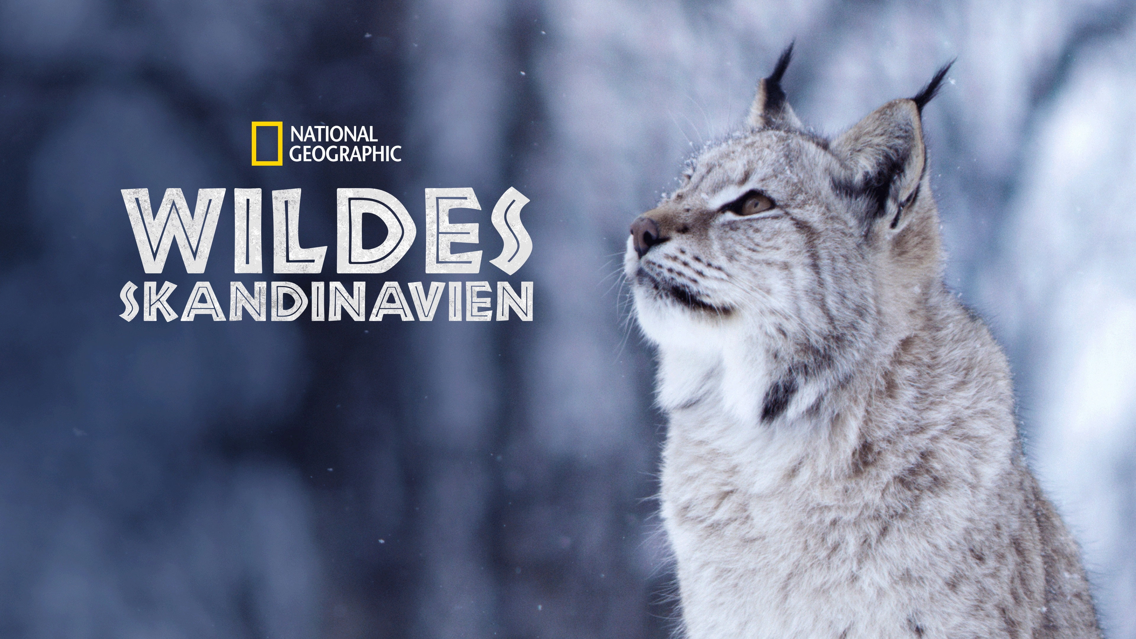 Wild Nordic