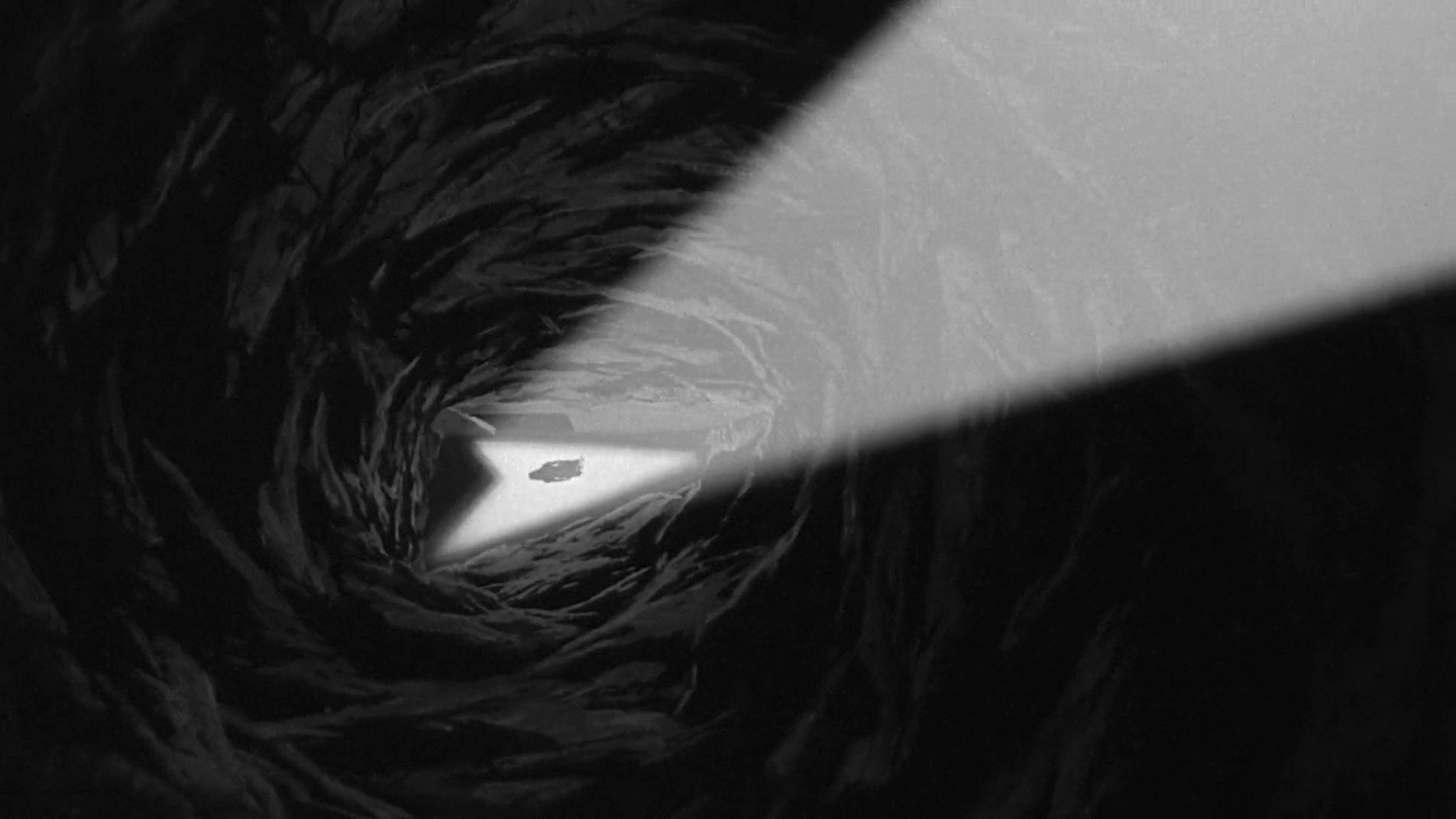 The Mole People