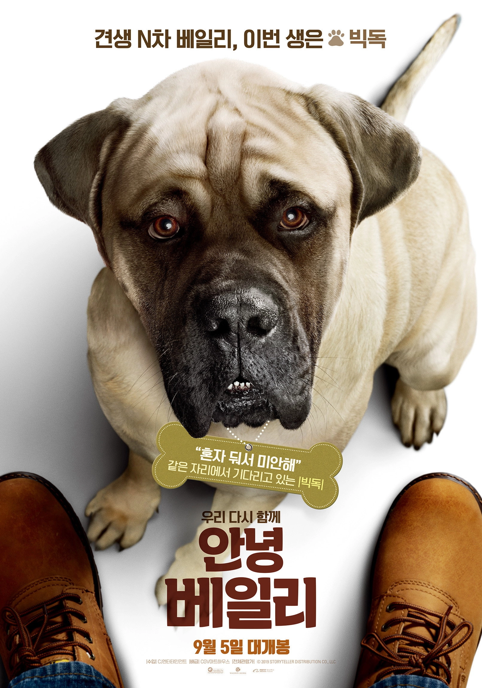 A Dog's Journey