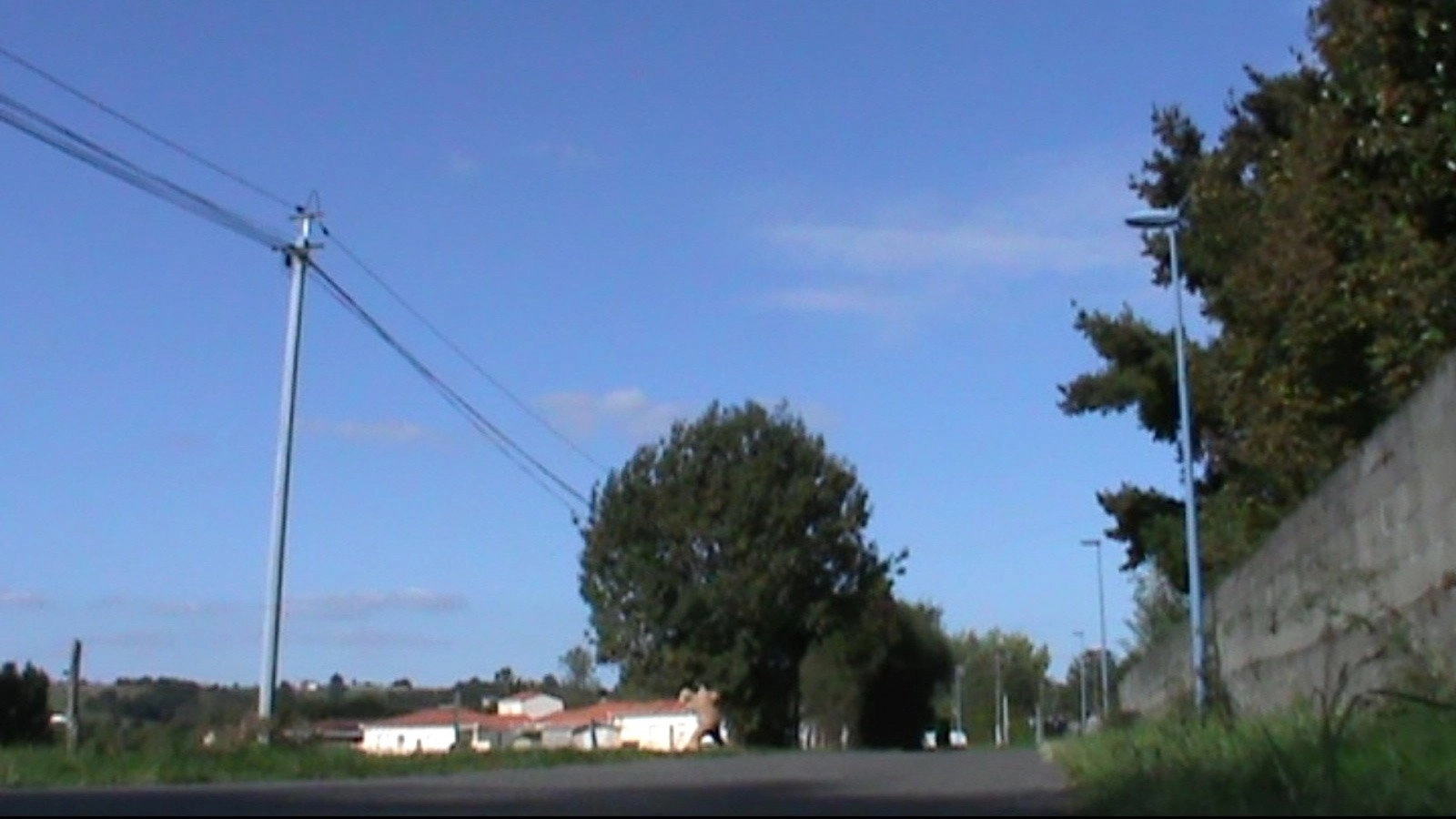 Deservoir Rogs