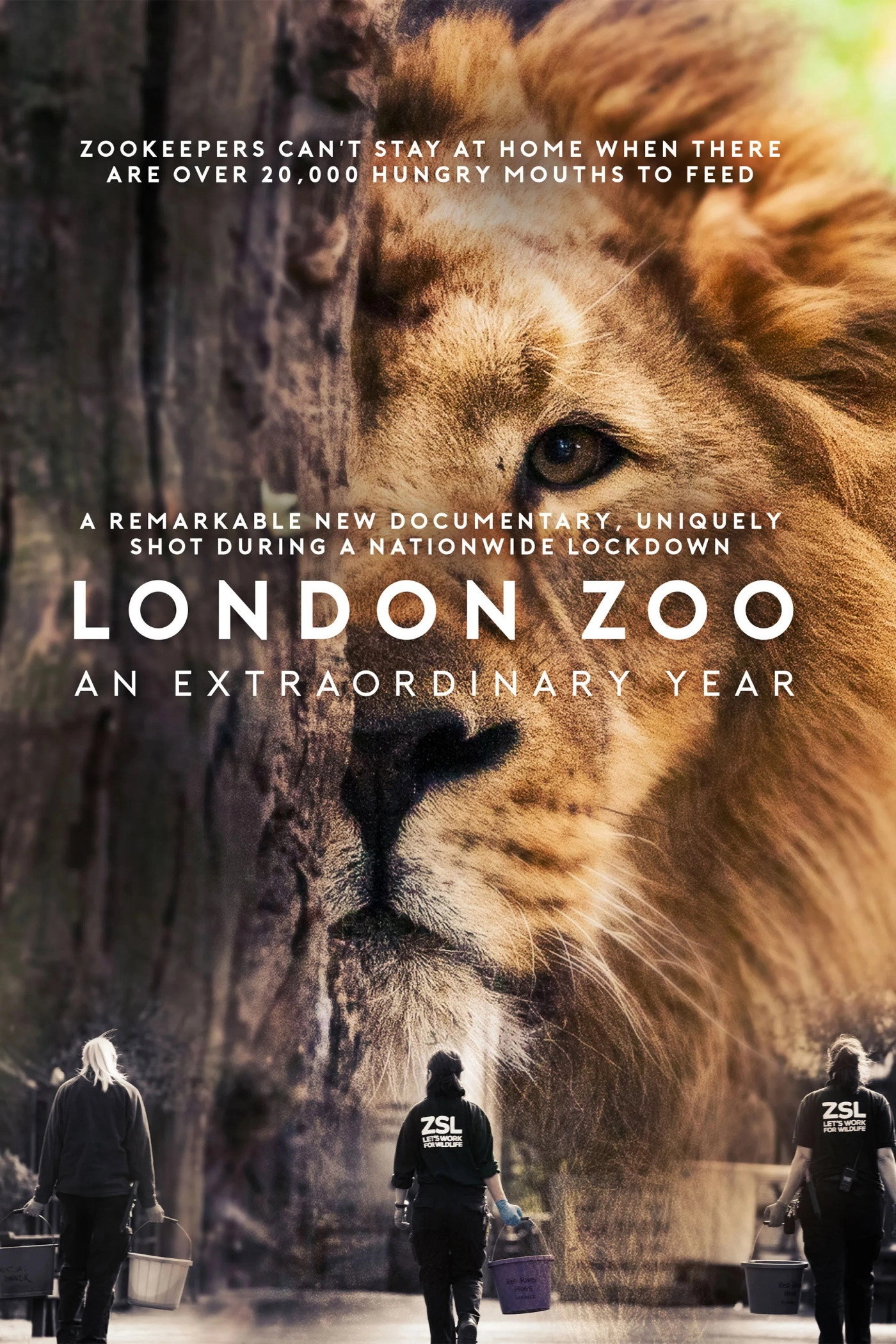 London Zoo: An Extraordinary Year