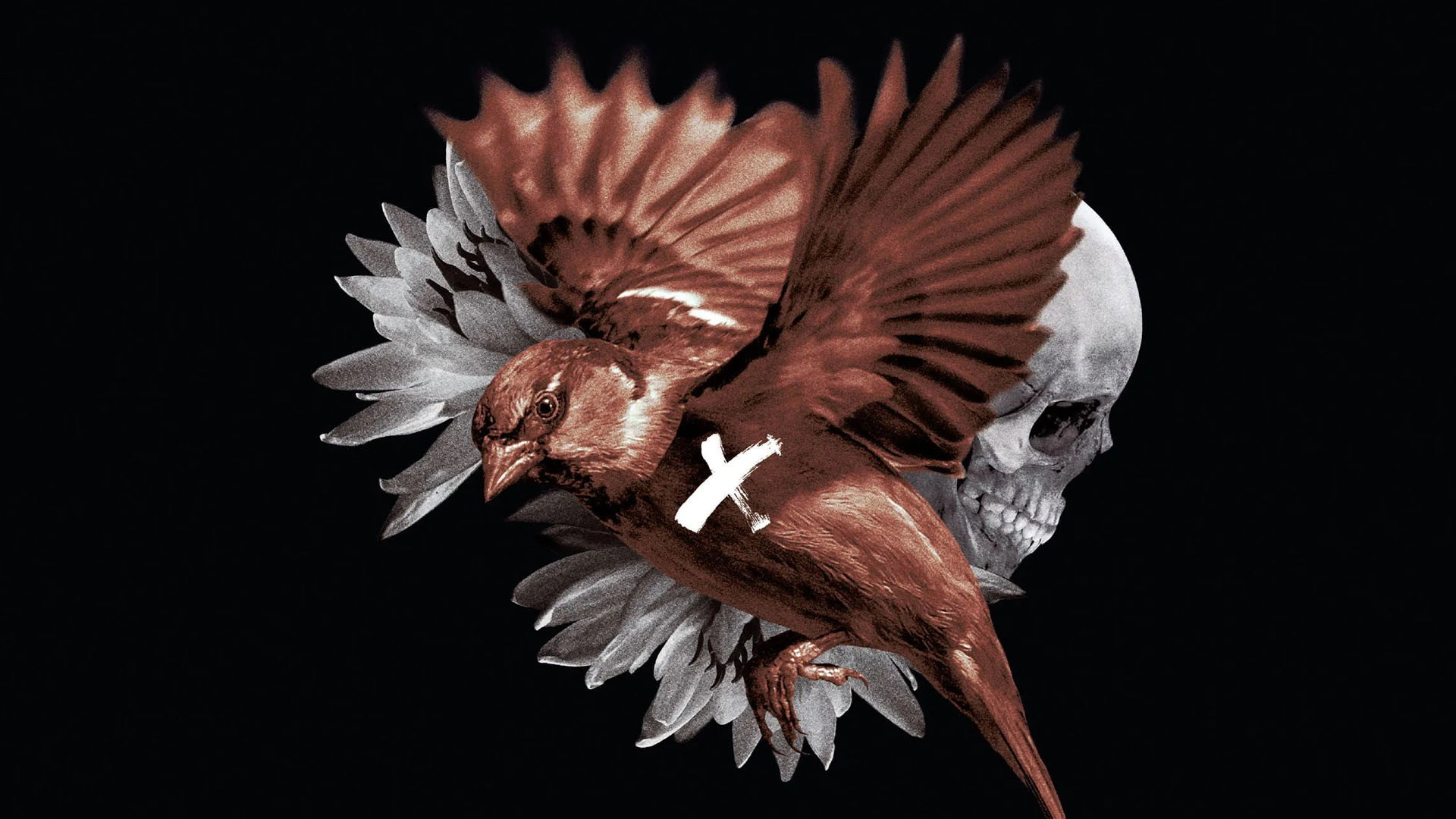 The Painted Bird