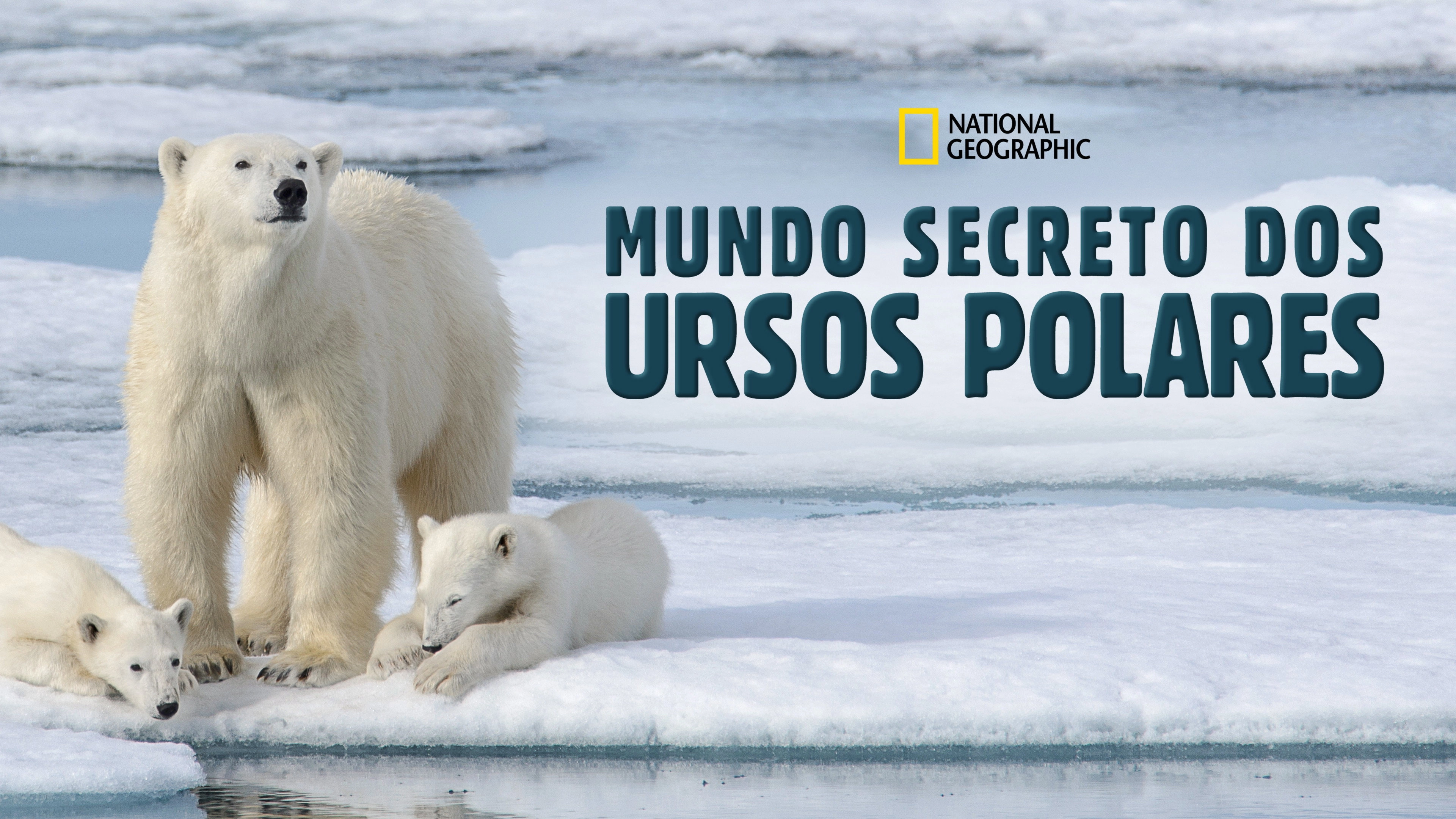 Kingdom of the Polar Bears