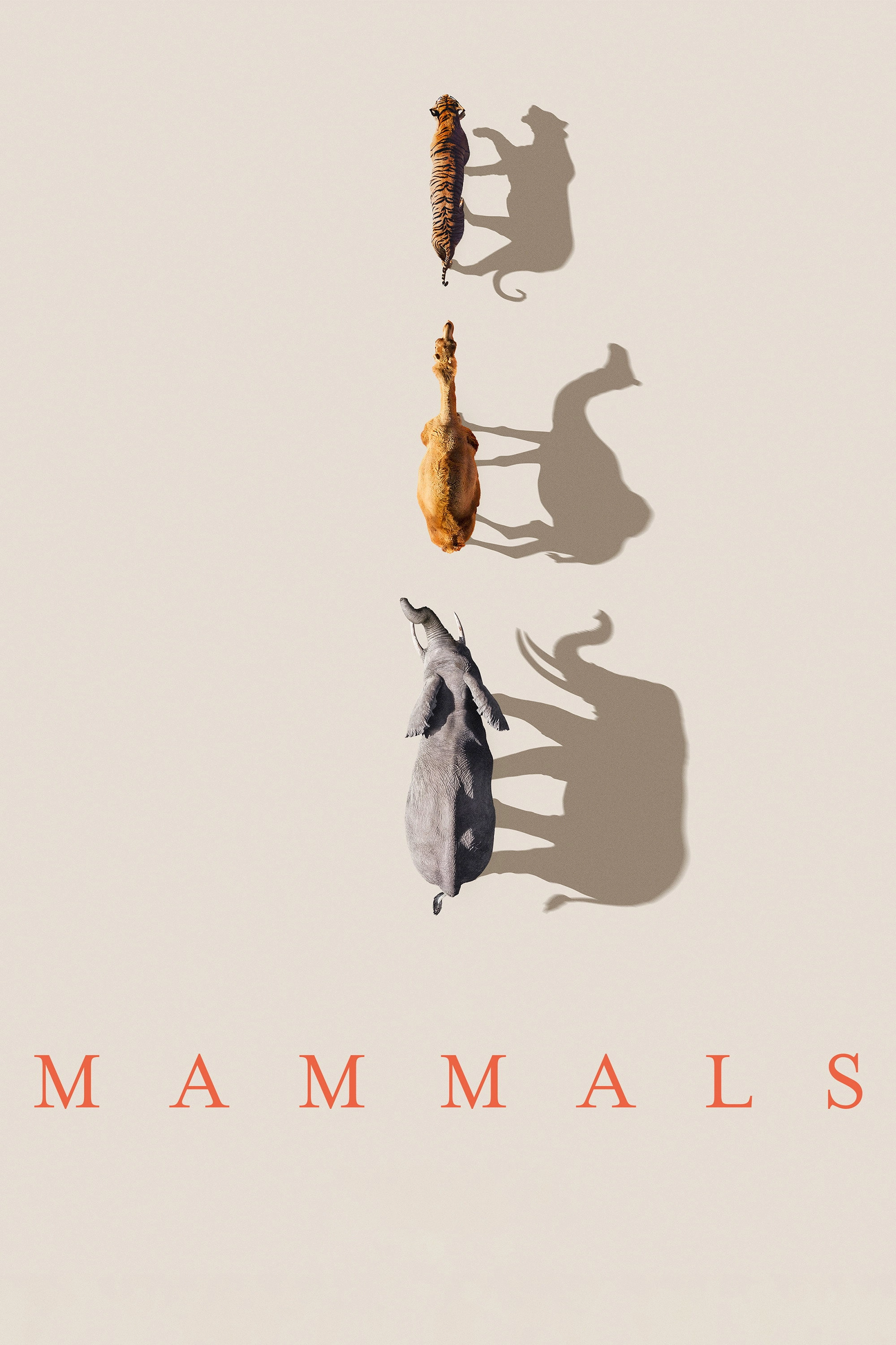 Mammals