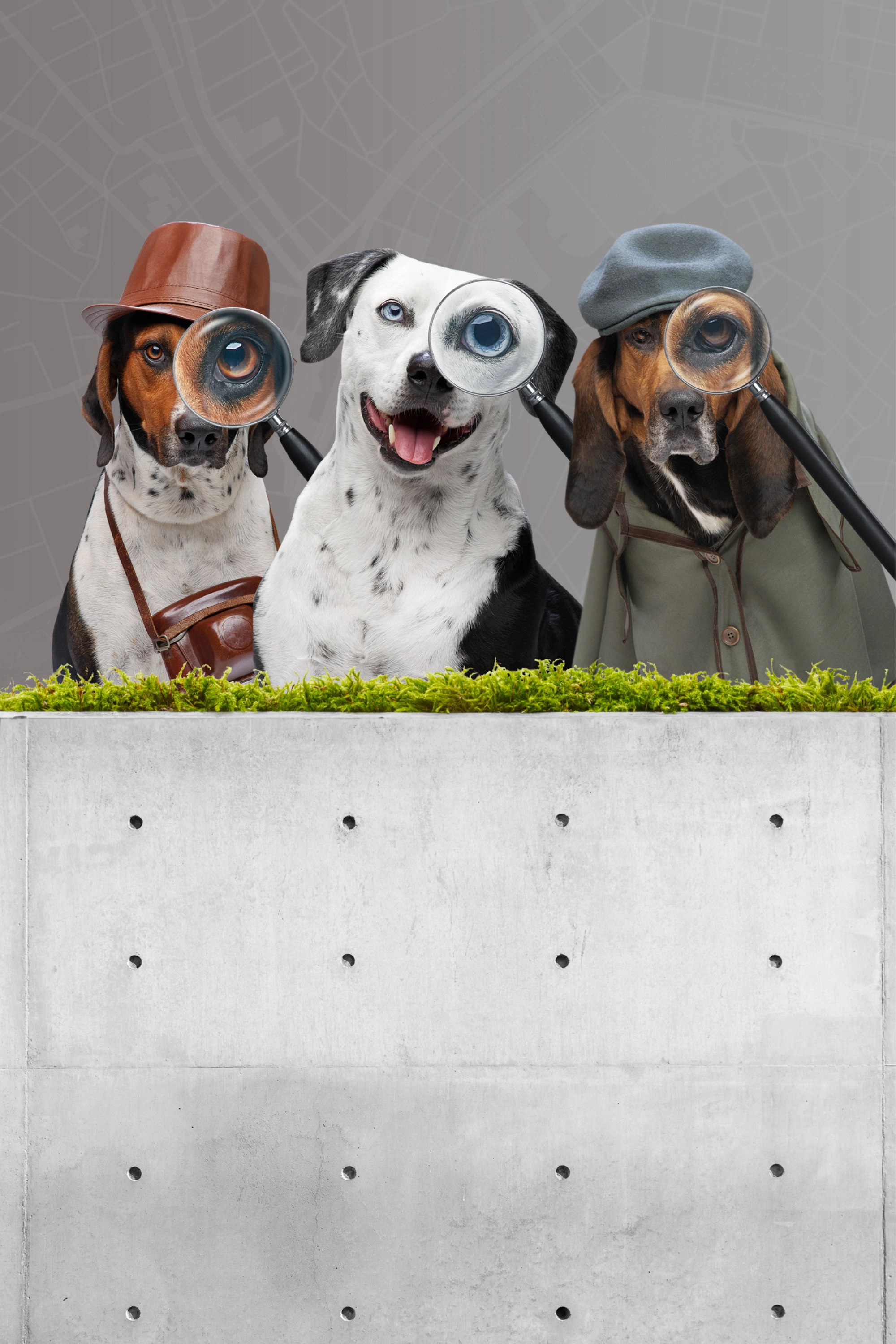 Pet Seekers