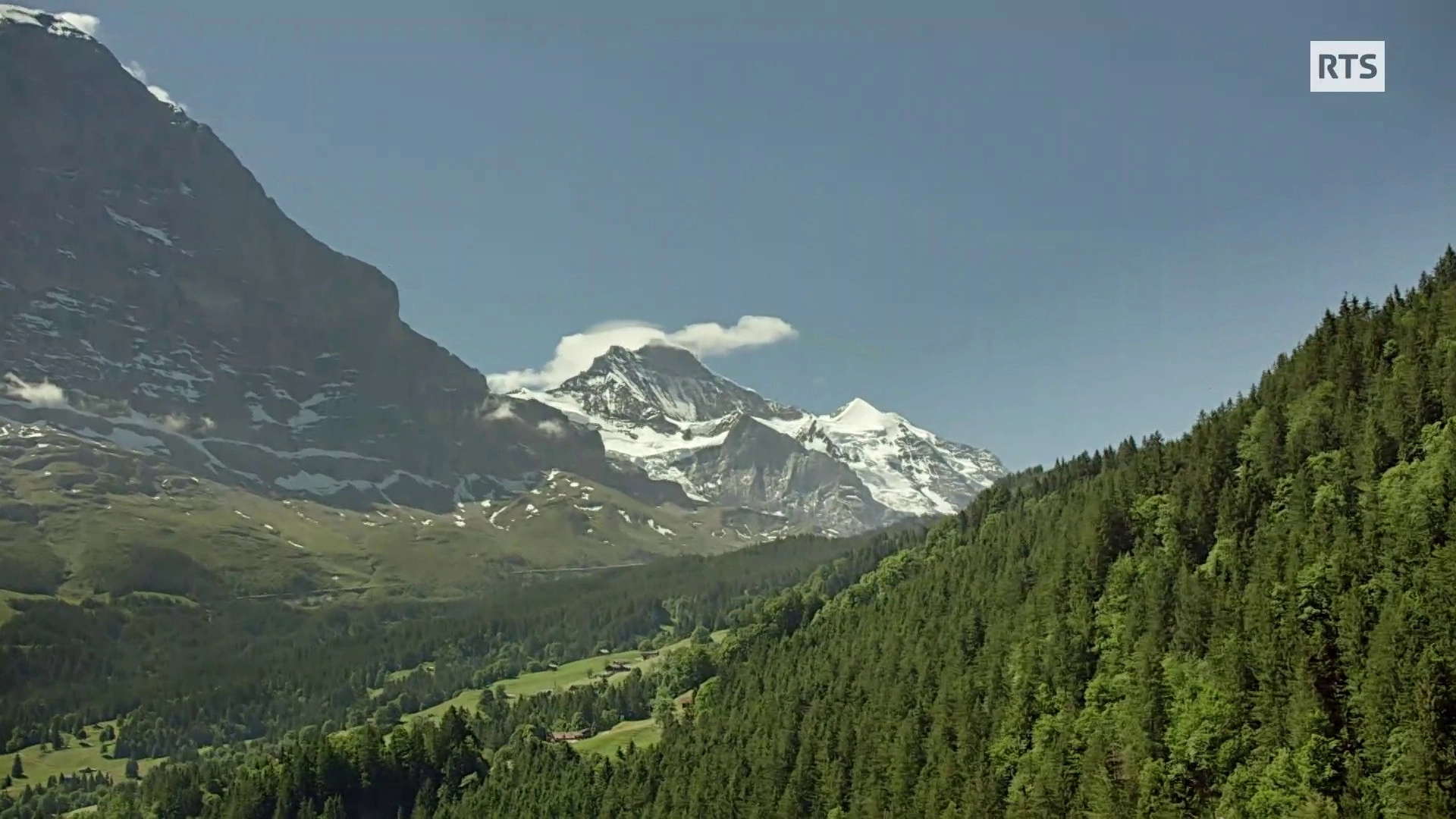 Wild Faces of Switzerland