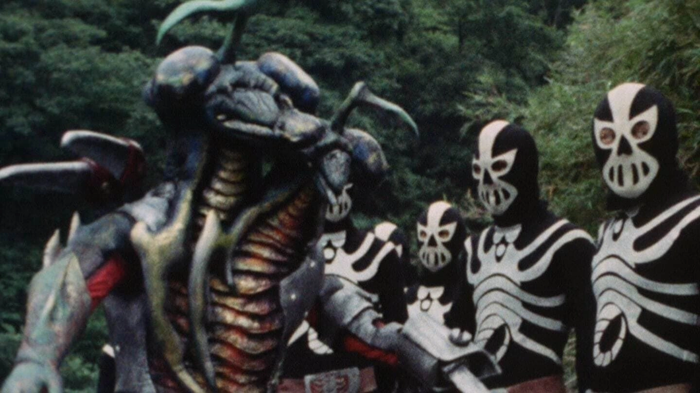 Kamen Rider V3