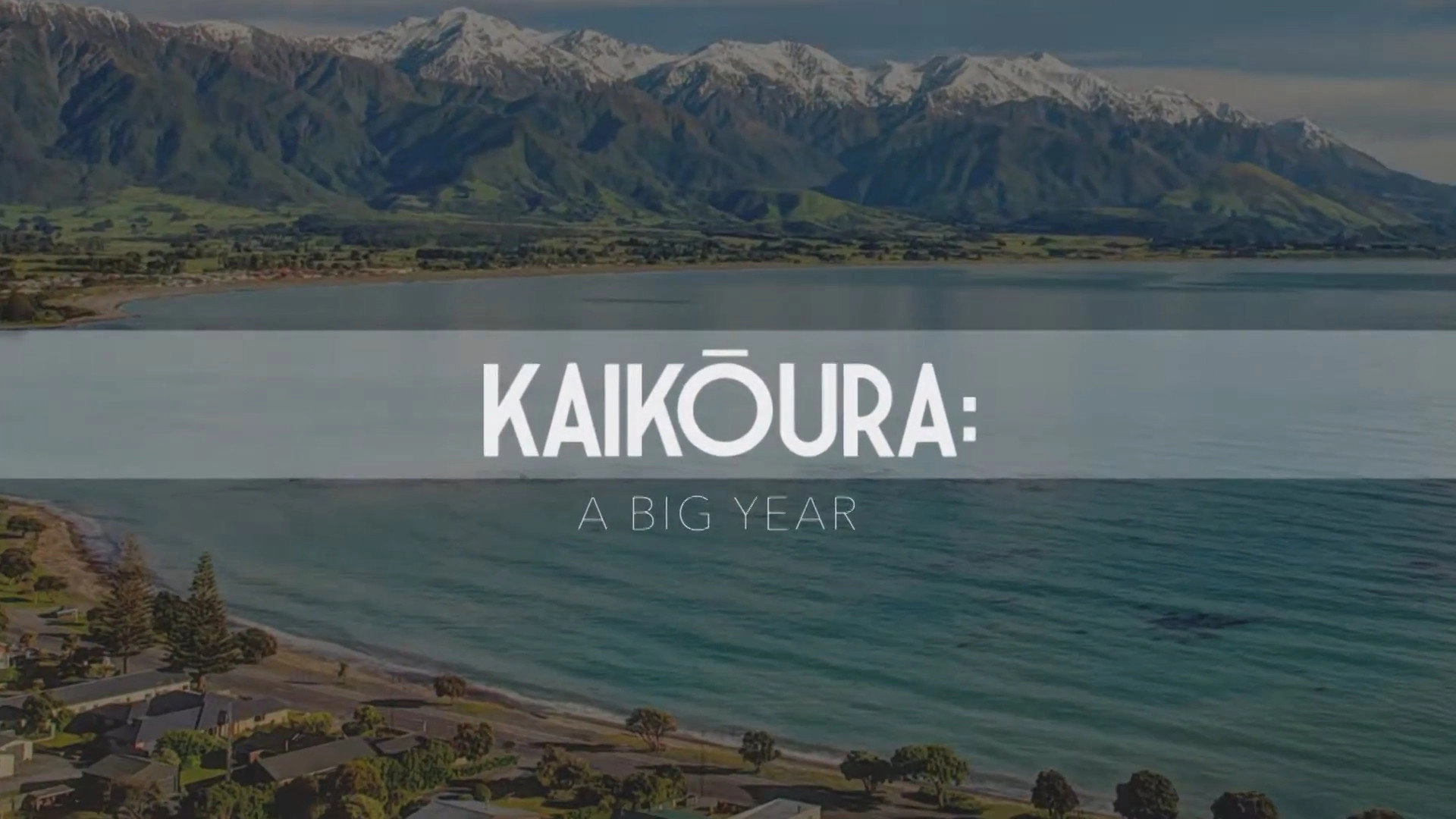 Kaikōura: A Big Year