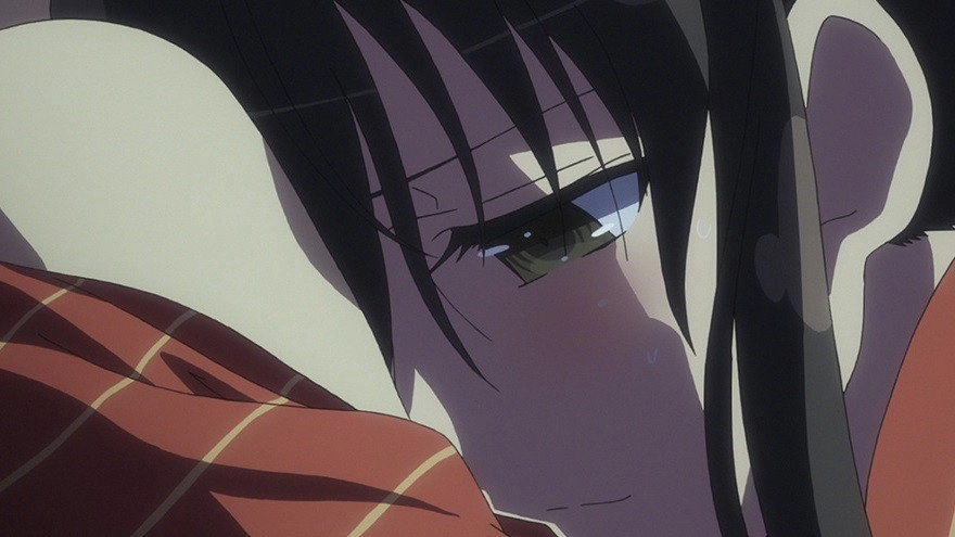 Senran Kagura: Ninja Flash