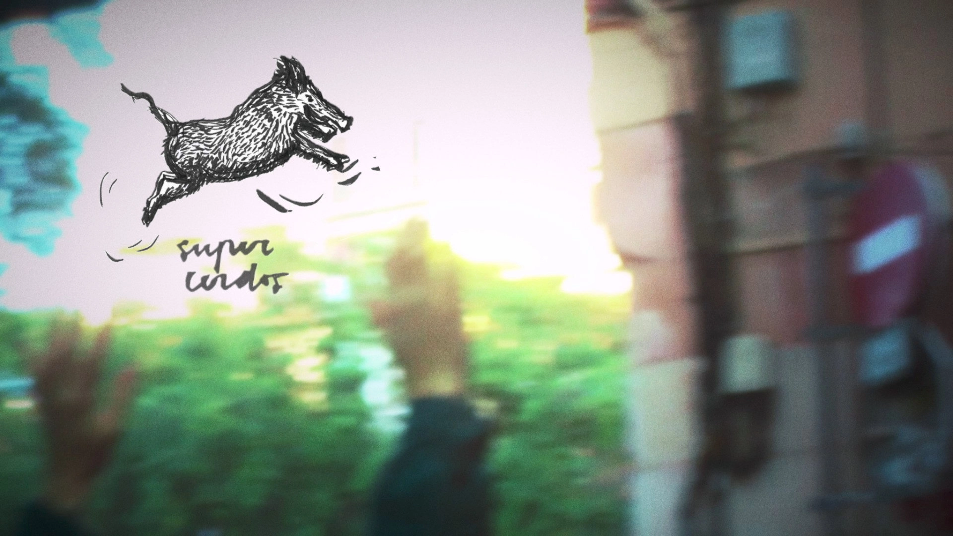 SUPERPIGS