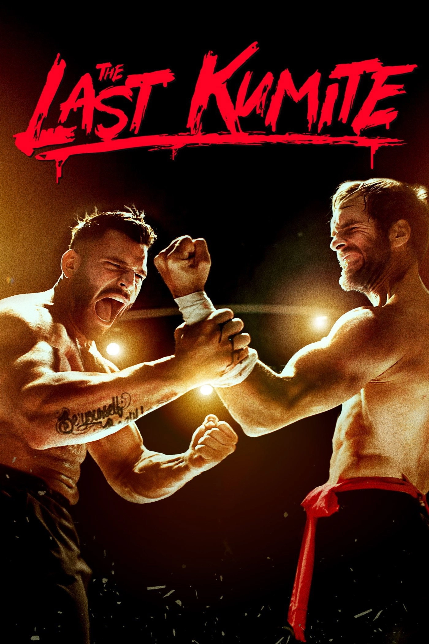 The Last Kumite