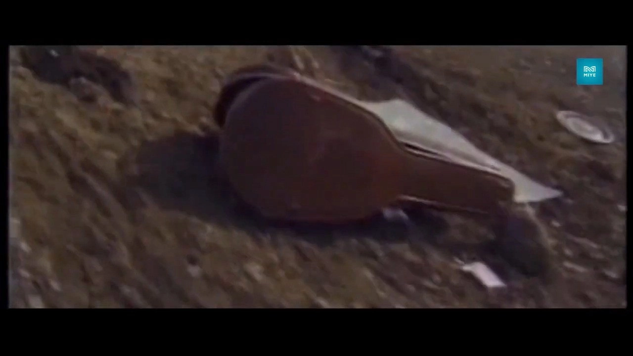Fate 1
